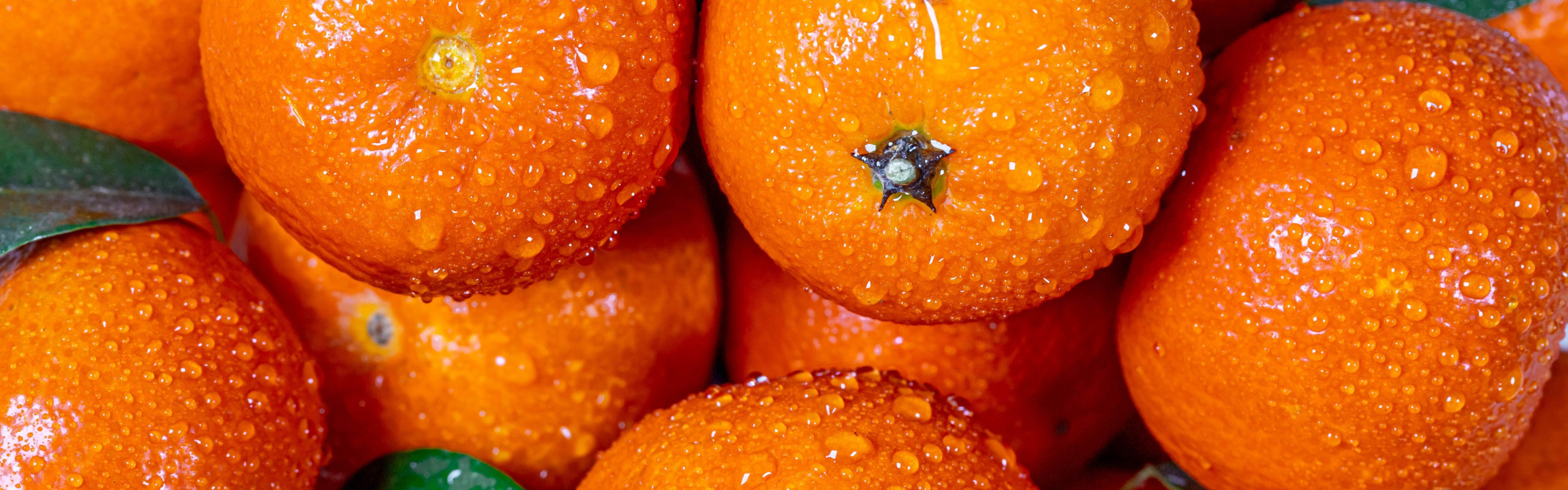 Огурец мандарин. Танжерин фрукт. Измирские мандарины. Мандарины Nobel. Сочный мандарин.