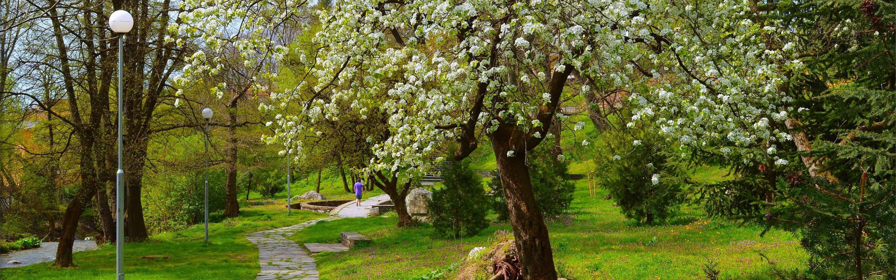 Парк весна казань фото Скачать обои Весна, Парк, Park, Spring, Цветение, Flowering, раздел природа в ра