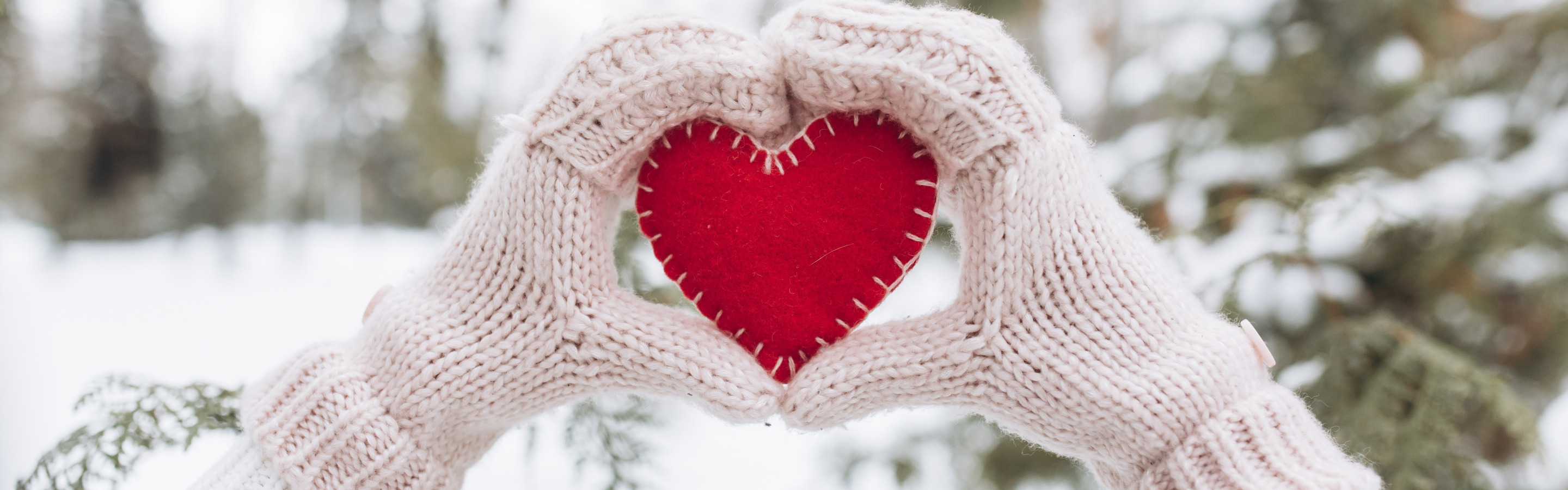 Цветы в варежке на снегу. Заставка на рабочий стол сердечко на елке. В рукавичках снег в виде сердца. Обои снежные розовое сердце и ель. Я люблю снежку