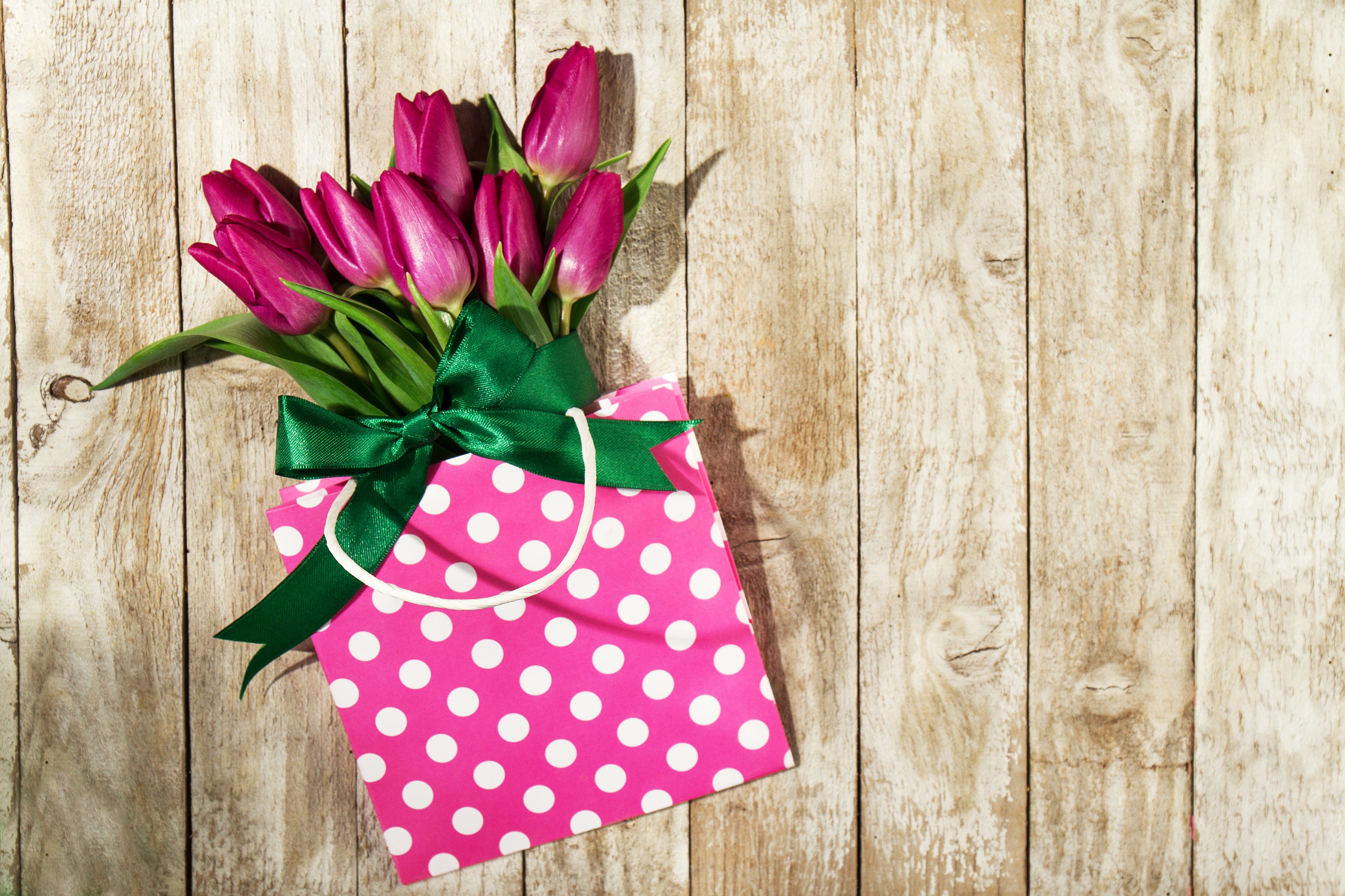 Тюльпаны слоганы. Стильные цветы. Тюльпаны открытка. Подарок с цветами. Открытка цветы тюльпаны.
