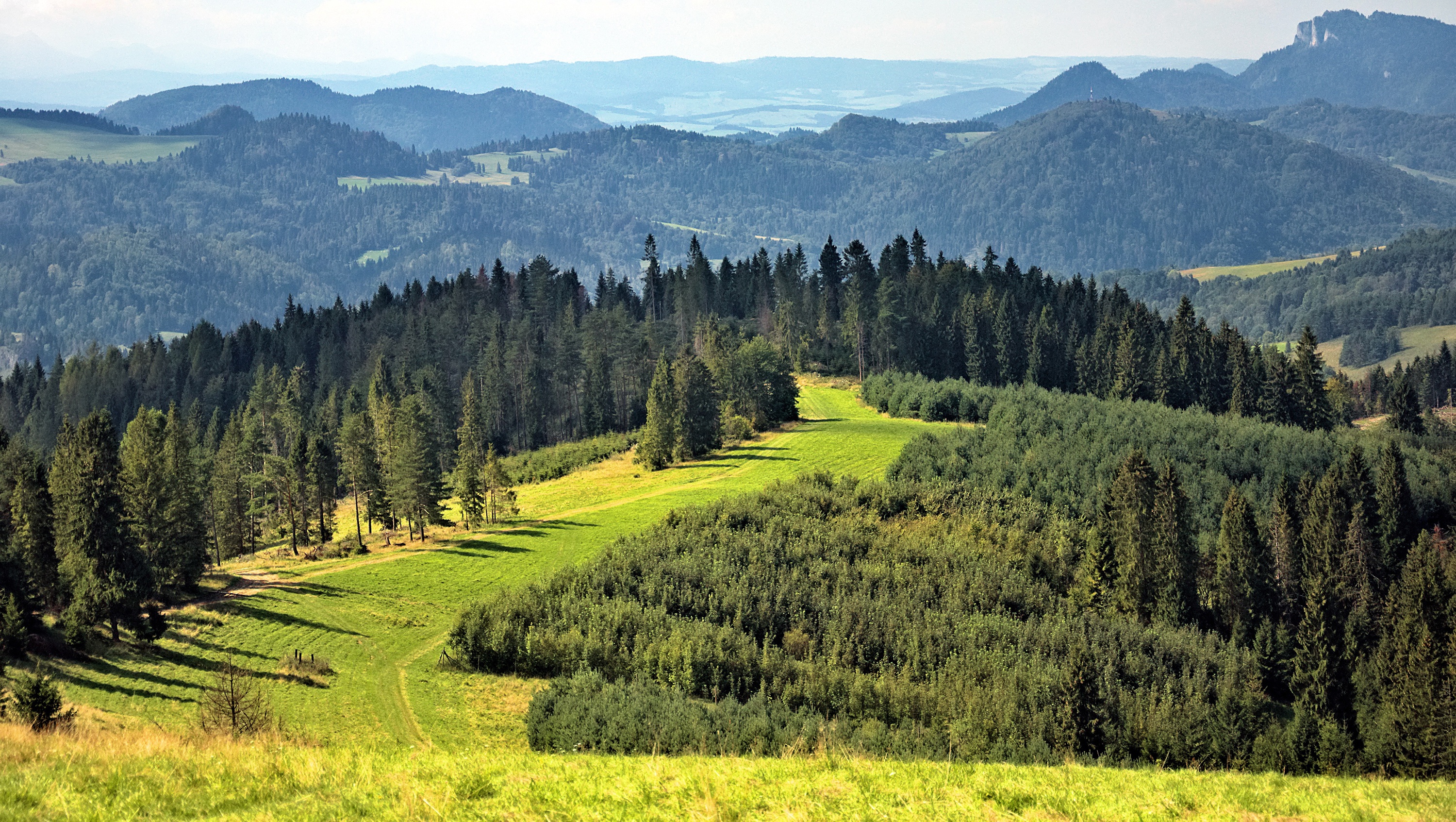 Горы Карпаты панорама