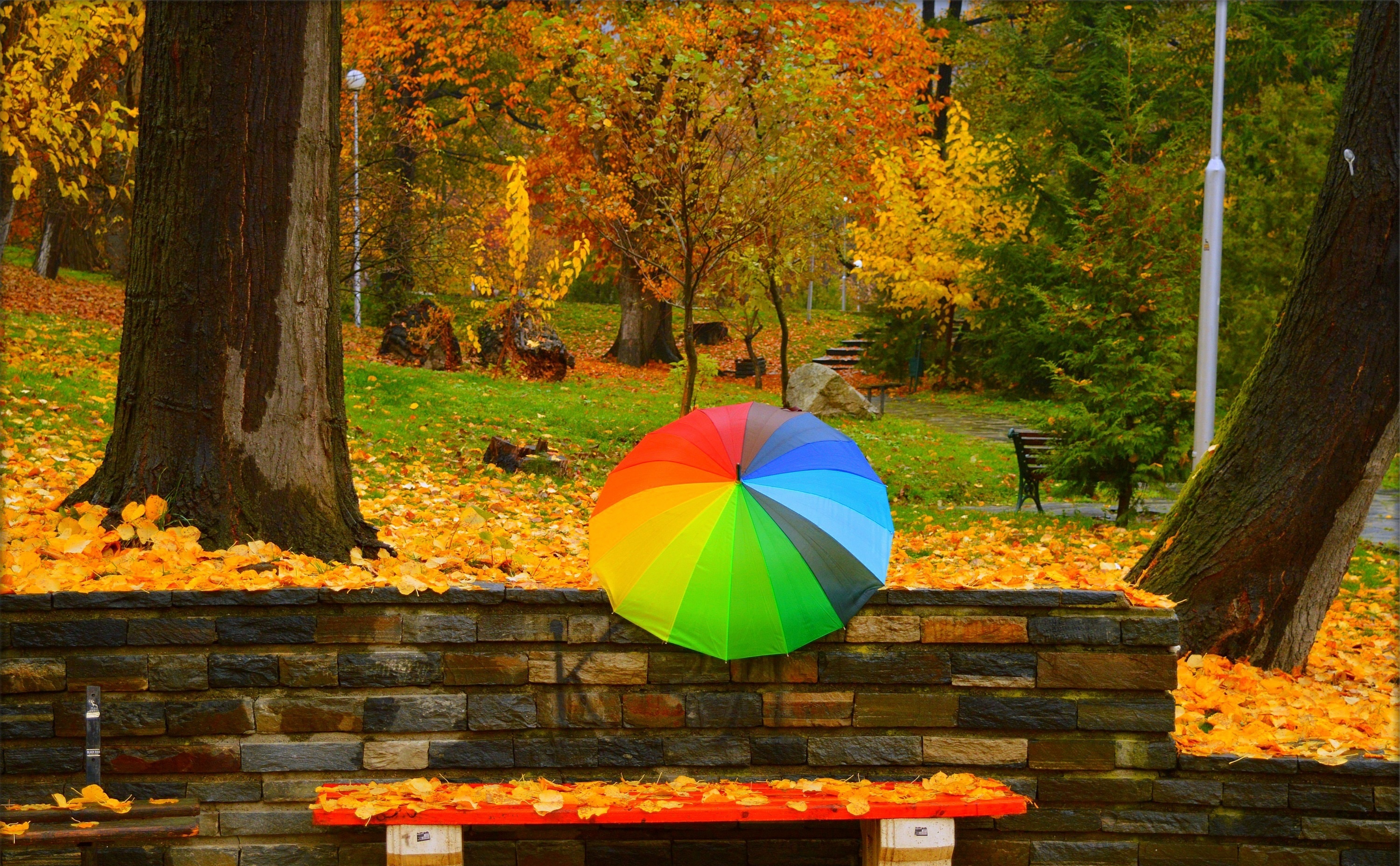 Осень позитивные картинки. Осенний зонтик. Осенние листья парк. Яркий зонт осенью. Осень зонтик.