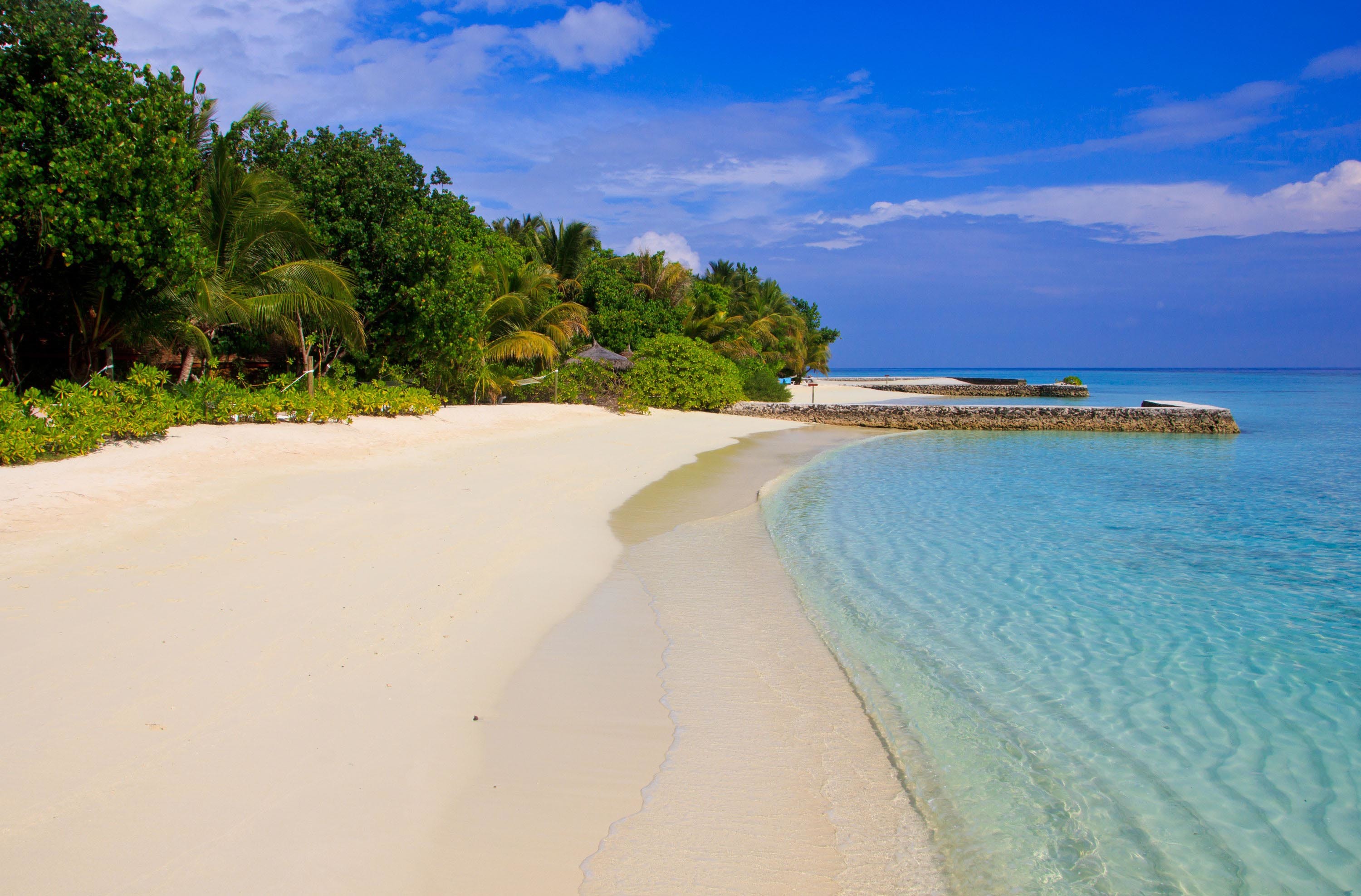 Lagoon paradise beach шри ланка. Лагуна Мальдивы. Мальдивы голубая Лагуна. Острова океан Лагуна Мальдивы. Тропический пляж.