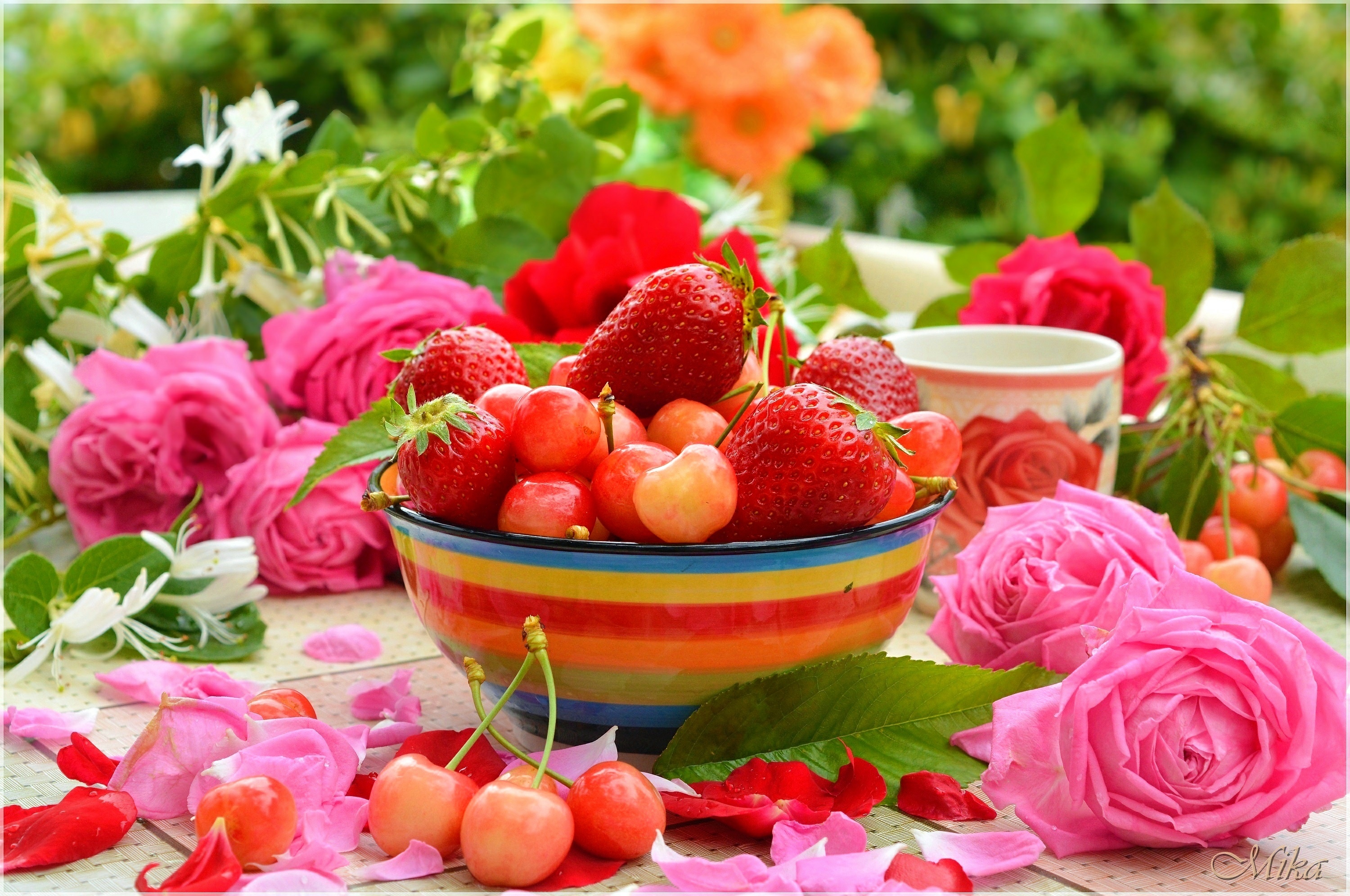 Открытка ягодки. Красивые ягоды. Летние фрукты. Цветы и фрукты. Красивые летние цветы.