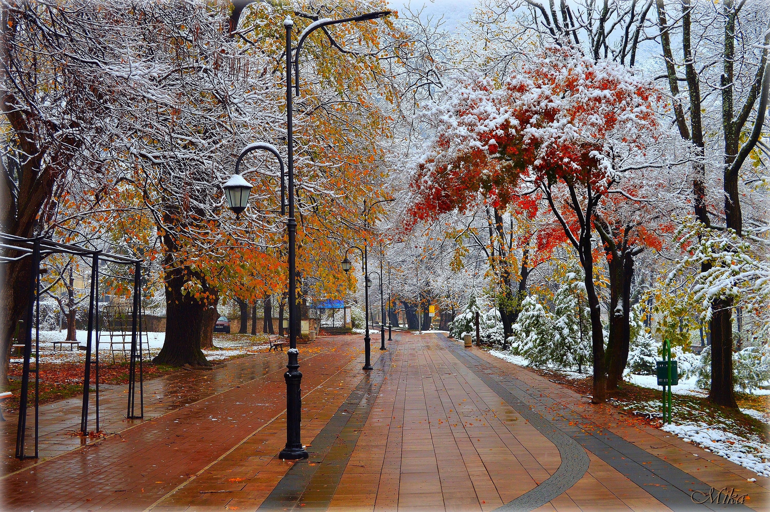 Красивые картинки первый. Поздняя осень в городе. Первый снег осенью в городе. Осень снег парк. Первый снег парк.