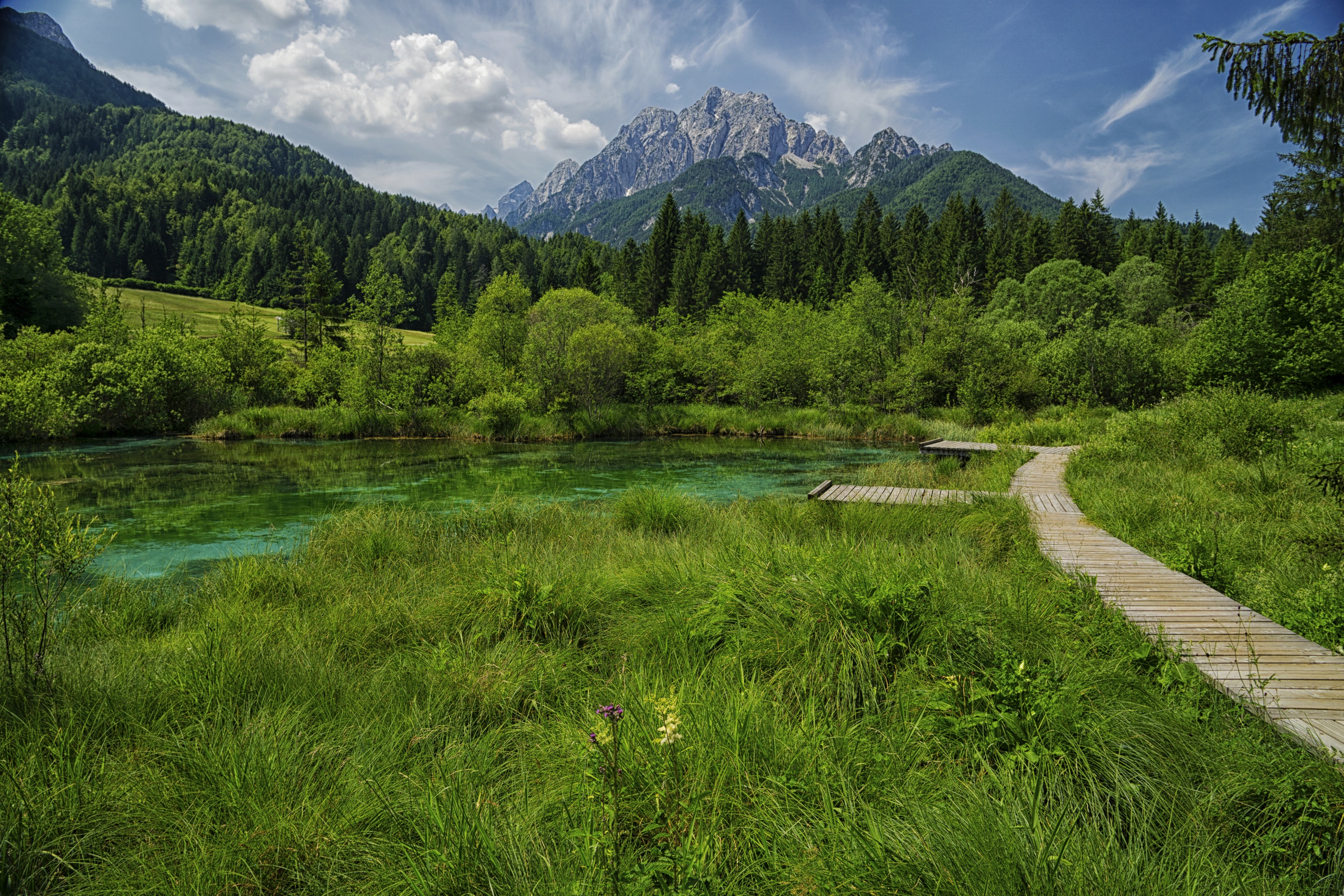 Местоположение и природа. Зеленчи Словения. Горы лес Словения. Лесная тропинка горы озеро. Горы лес озеро река Поляна.