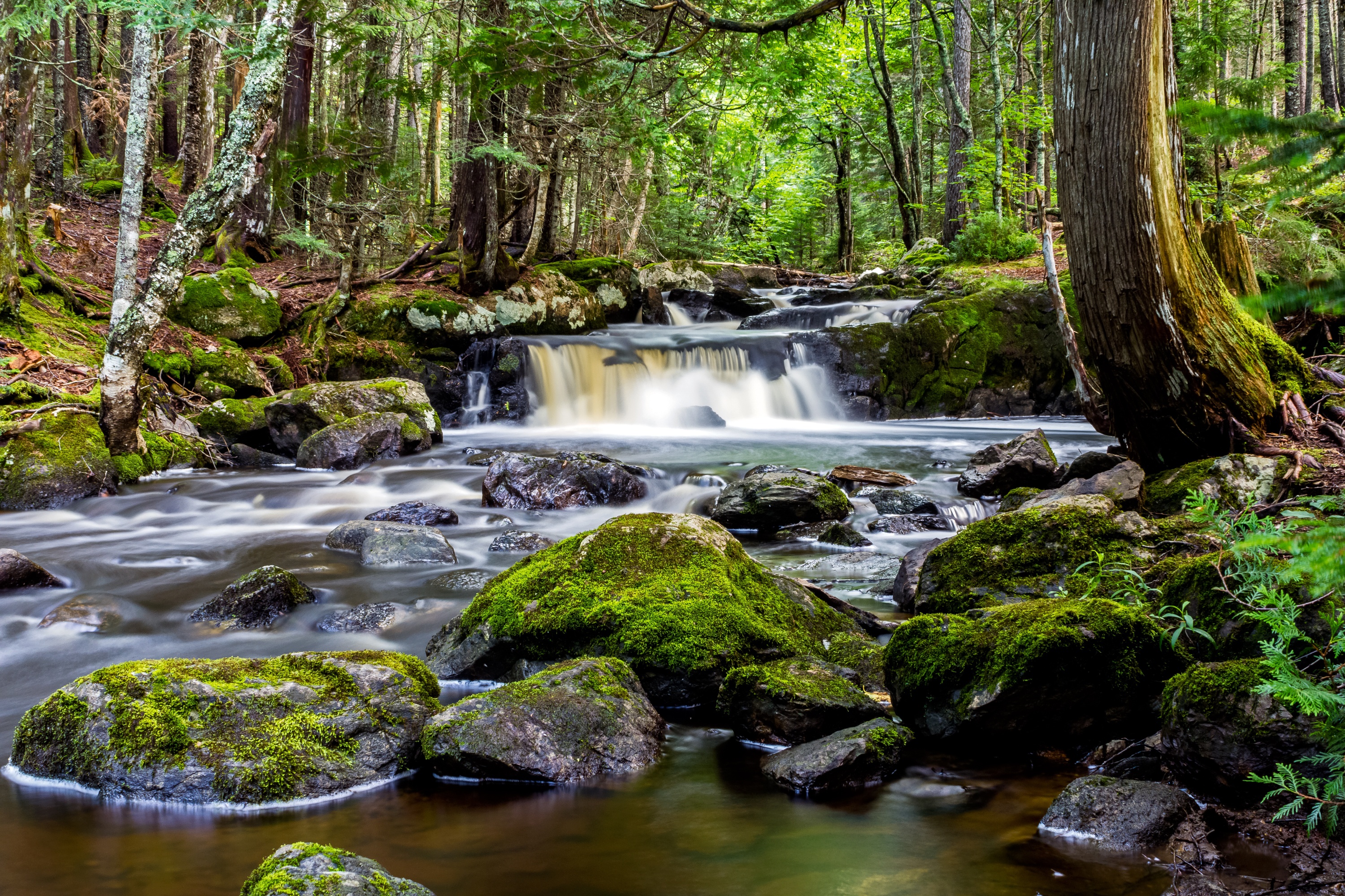 Видео со звуками природы. Река. Лес река камни. Река камушки лес. Природа водопад.