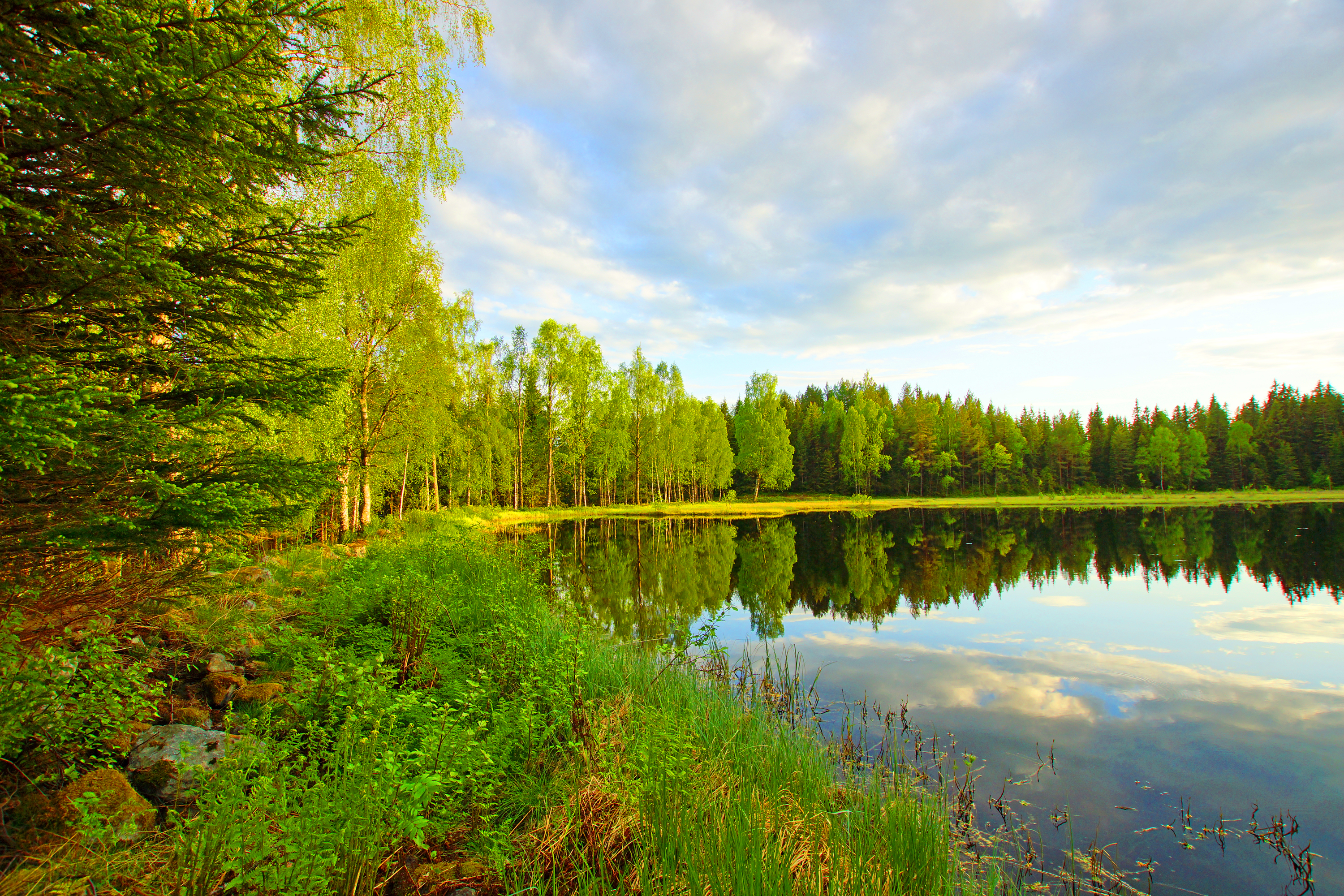 Фото Русская Река