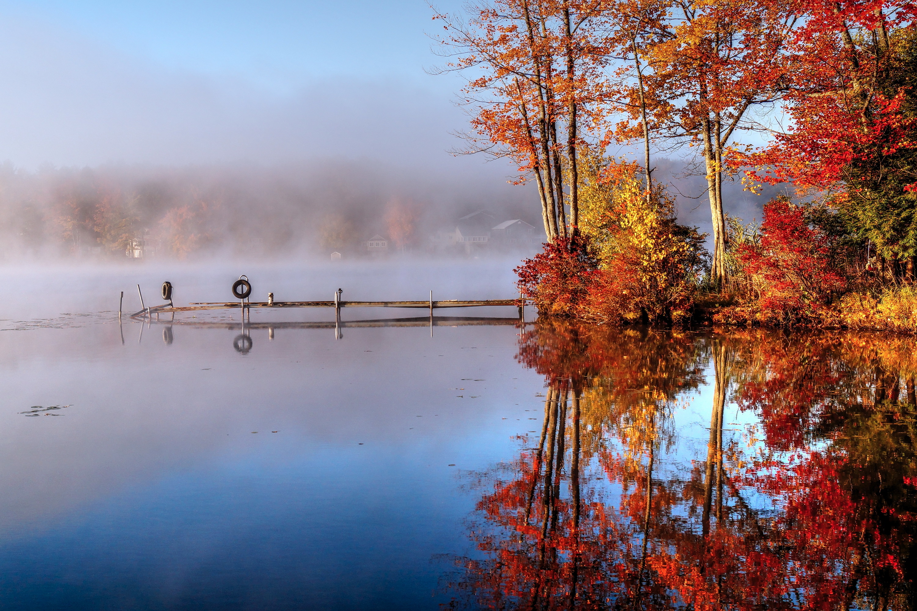 Утро осени картинки. Осень туман. Осеннее озеро. Осеннее утро. Красивая осень.