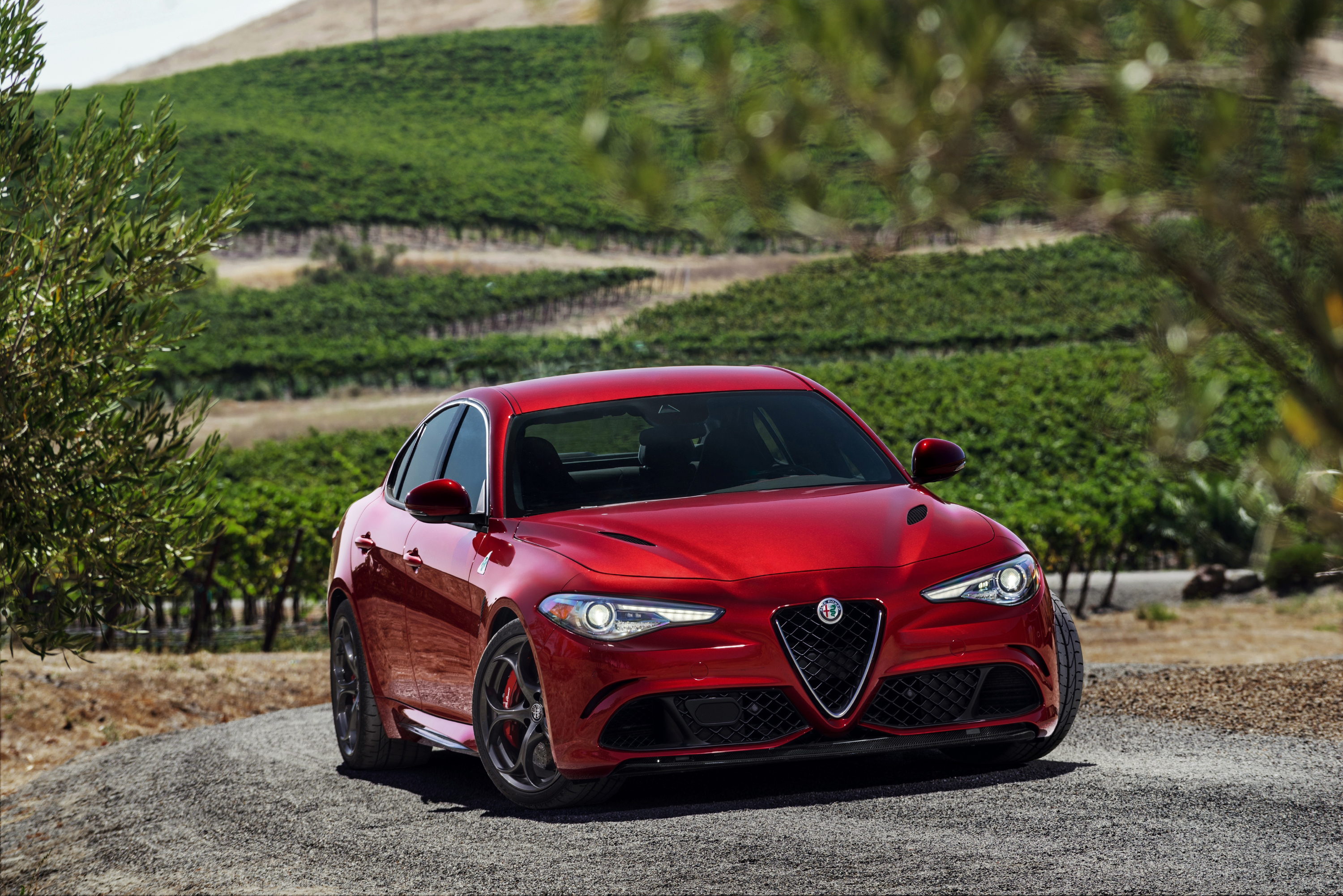 Alfa Romeo Giulia зеленая