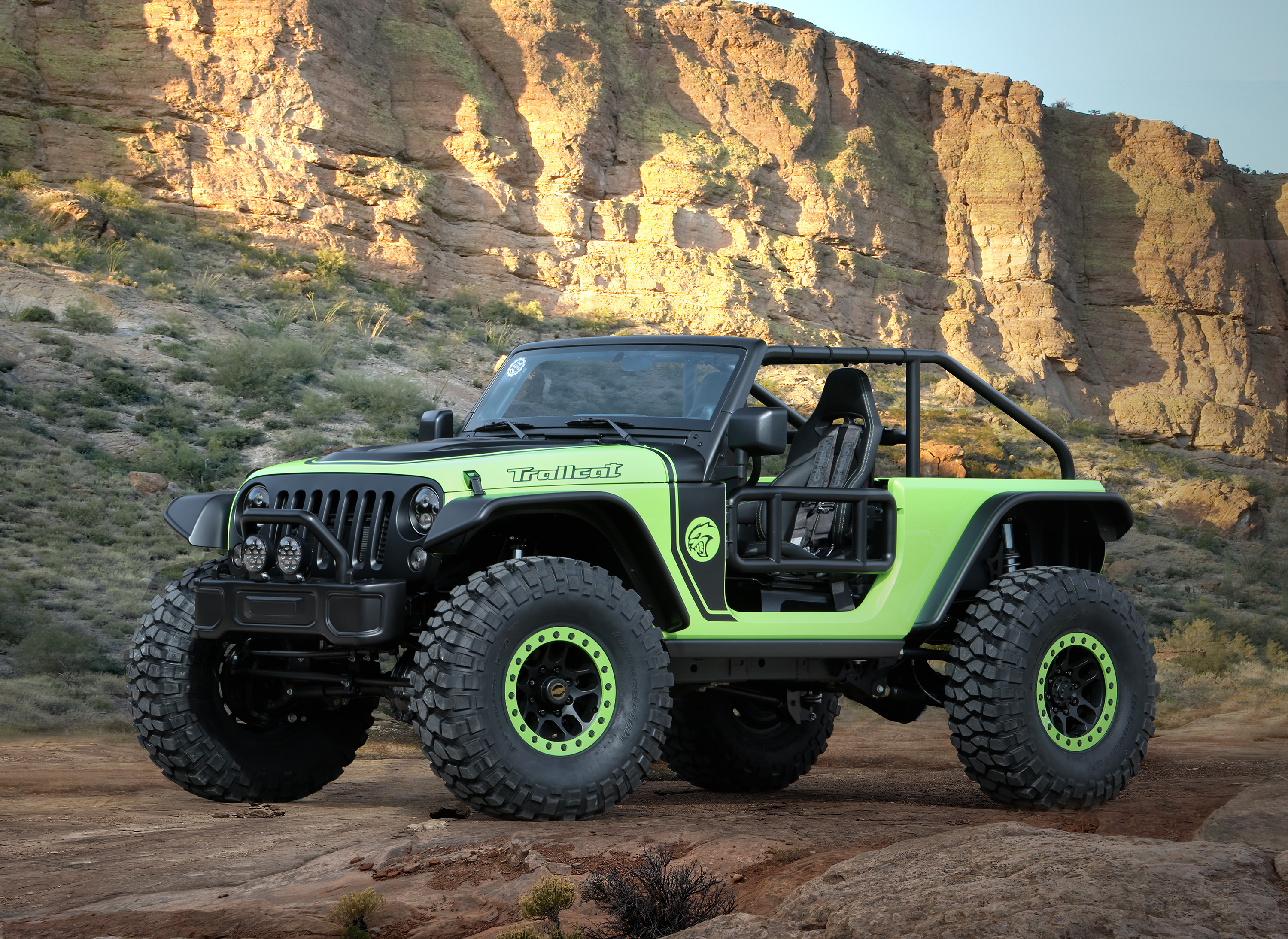 2016 Jeep Trailcat