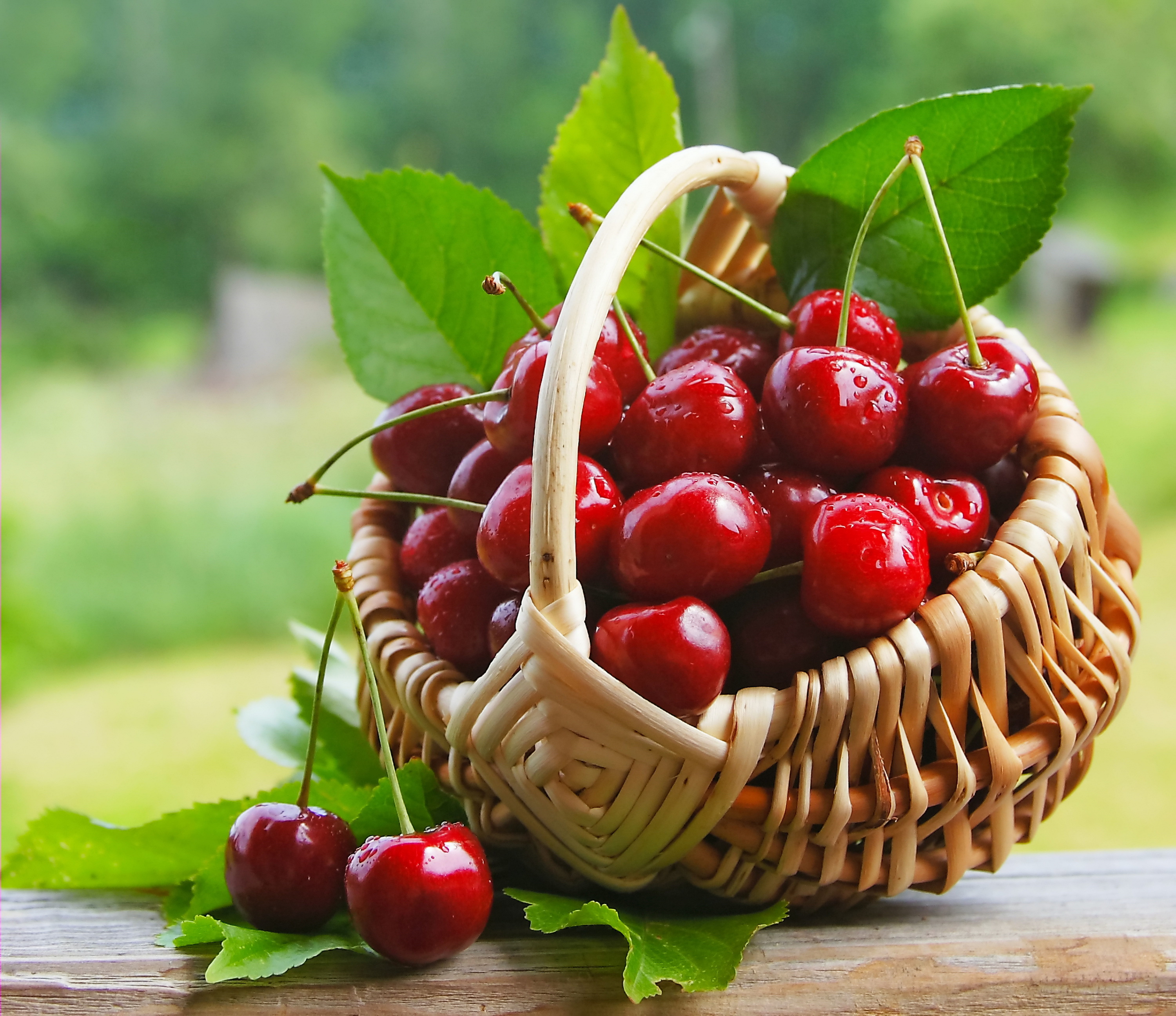 Обои вишня, ягоды, корзинка, fresh, черешня, sweet, cherry, berries на  телефон и рабочий стол, раздел еда, разрешение 3000x2593 - скачать