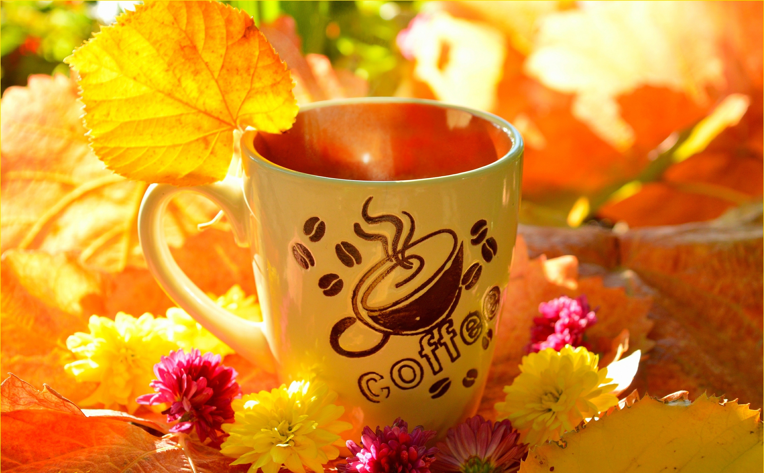 Доброе утро картинки осень. Осенний кофе. Осеннее утро. Доброе утро осень. Осенняя чашка.