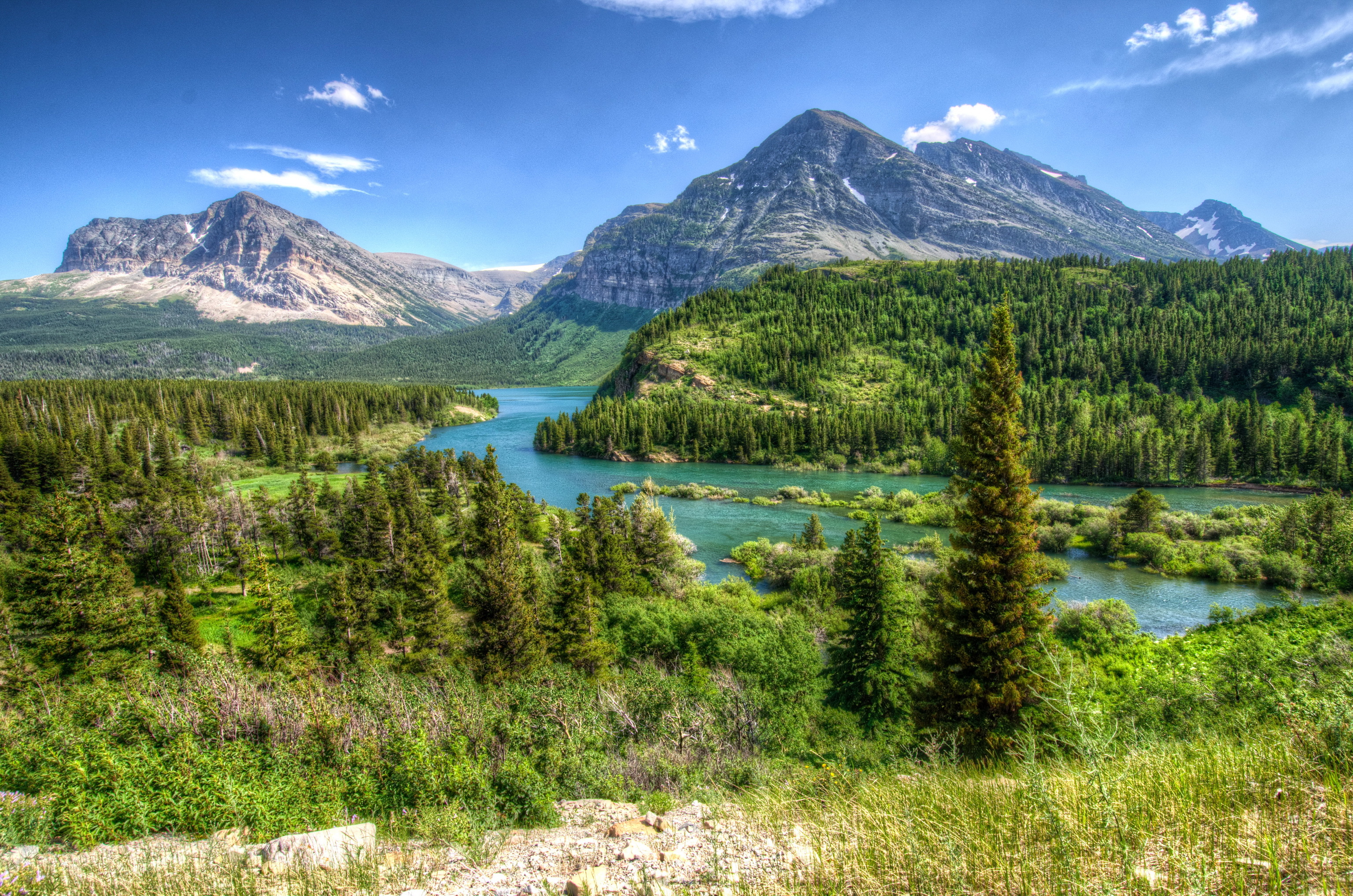 Природа. Штат Монтана природа. Штат Монтана леса. Штат Монтана природа горы лес. Горы штата Монтана.