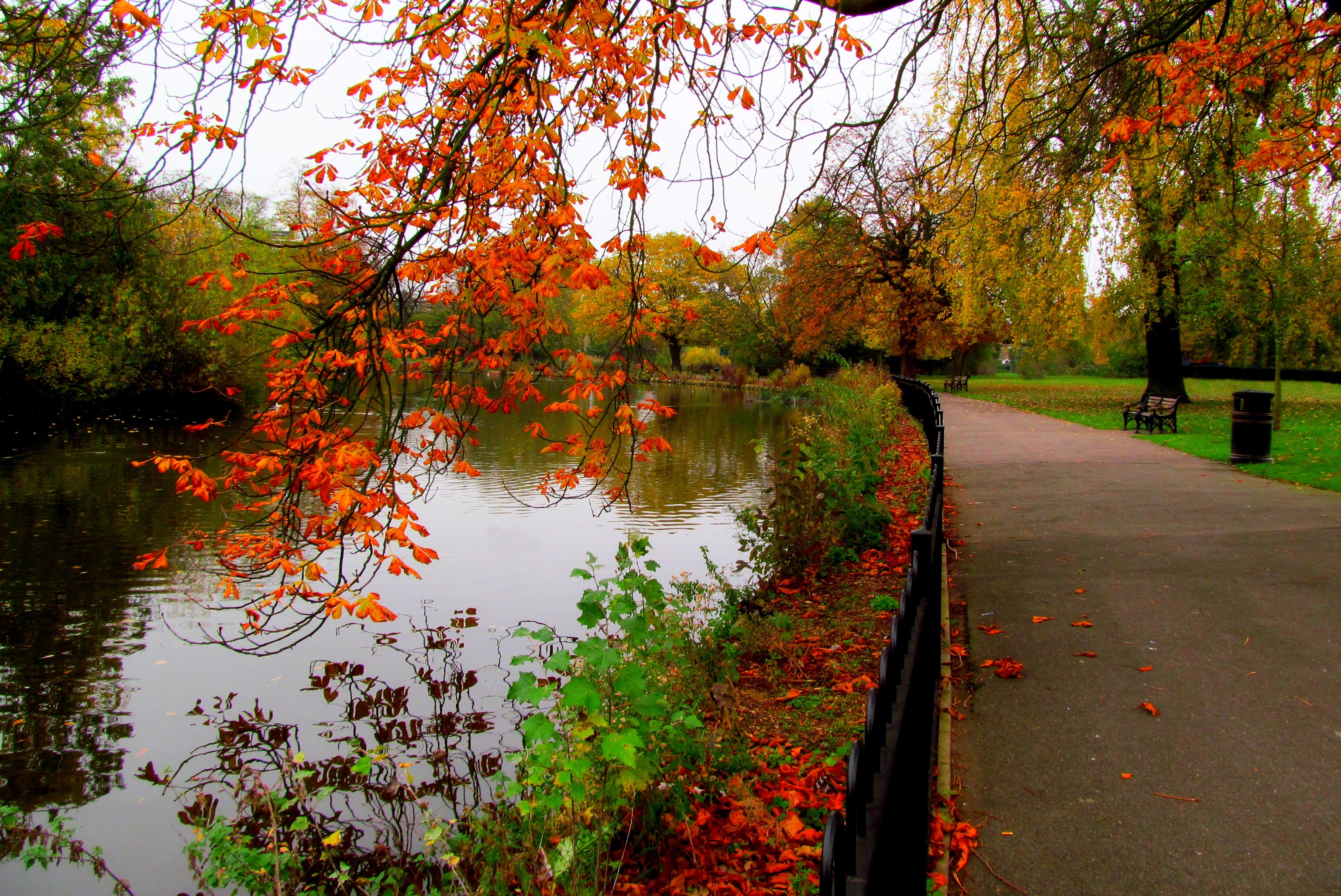 Красивые осенние картинки. Осенний парк. Парк осенью. Осень в парке. Золотая осень в парке.
