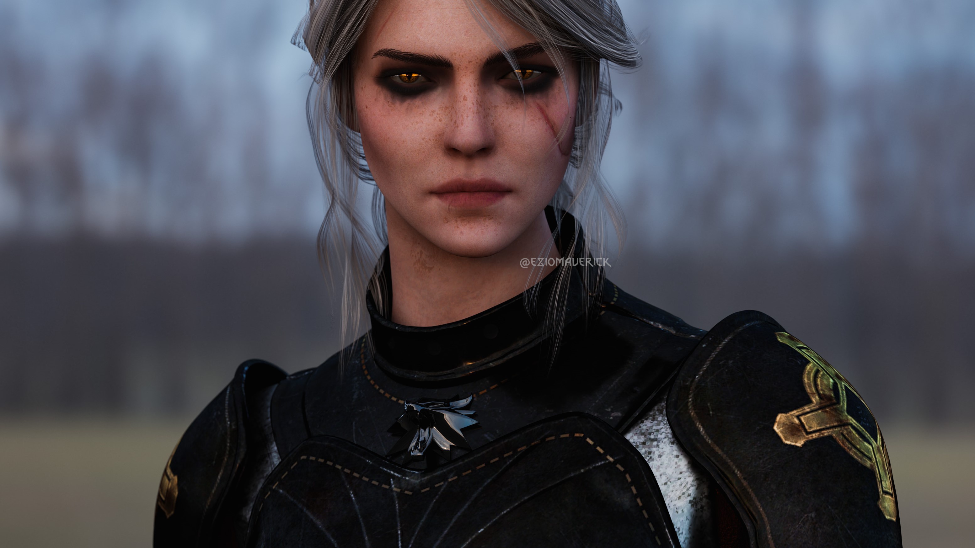 Скачать обои The Witcher 3 Wild Hunt, Ведьмак 3 Дикая Охота, Цири, Zirael,  Cirilla Fiona Elen Riannon, Ciri, Цирилла, Cirilla, раздел игры в  разрешении 3107x1747