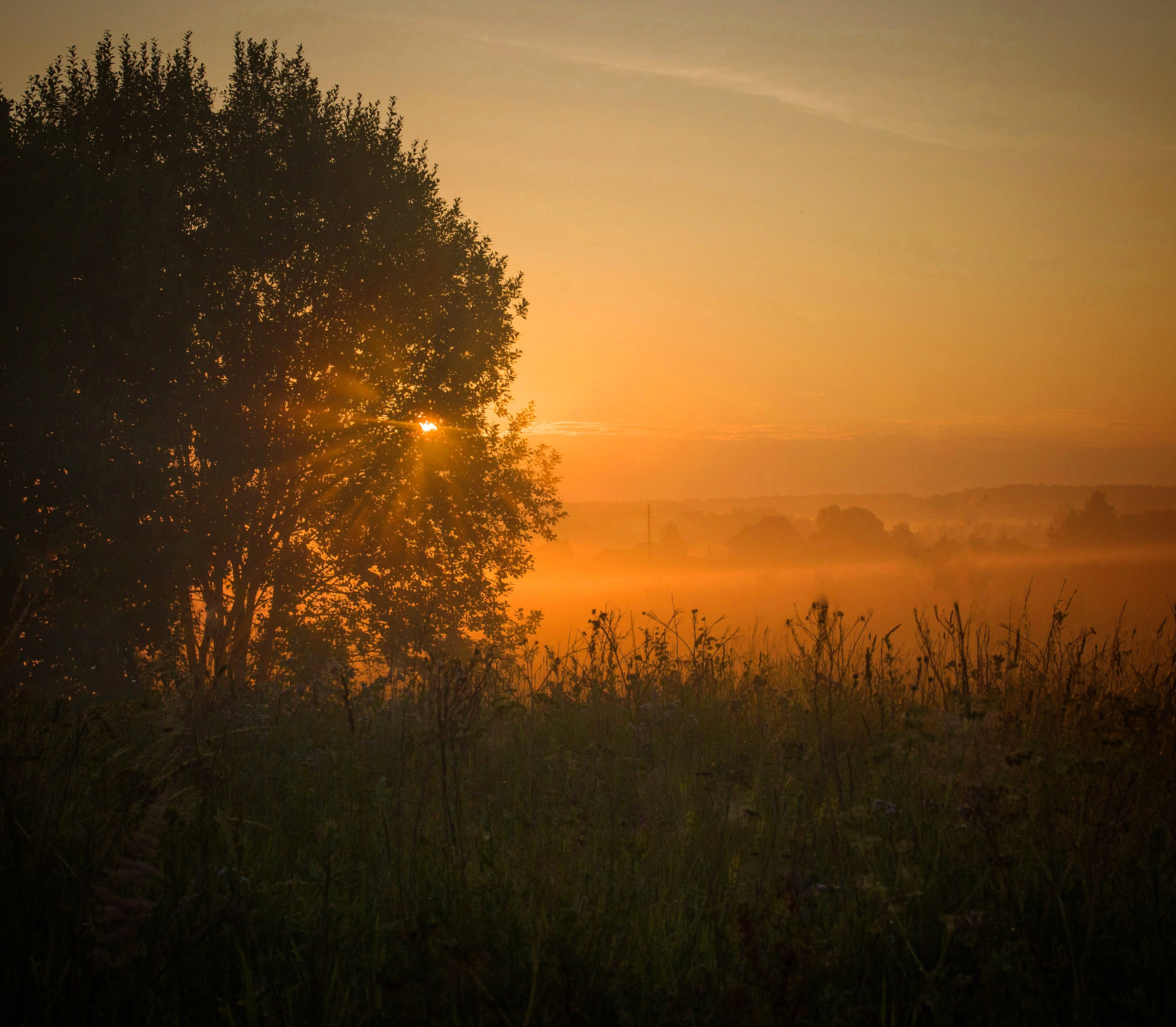 Текст доброе утро туманное. Поле рассвет туман. Восход солнца в поле. Поле туман закат. Утро лето.
