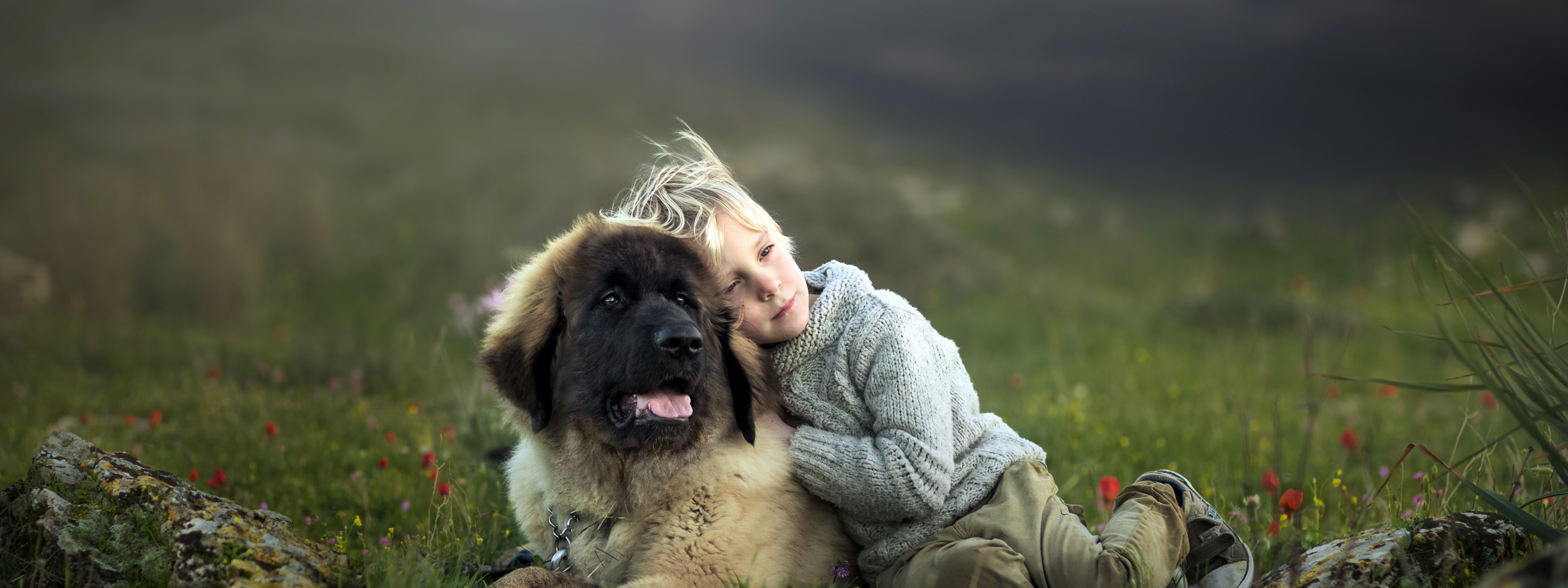 Фото собак мальчиков. Мальчик с собакой. Человек и собака обои. Мальчик с собакой вверх. Мальчик с собакой фото.