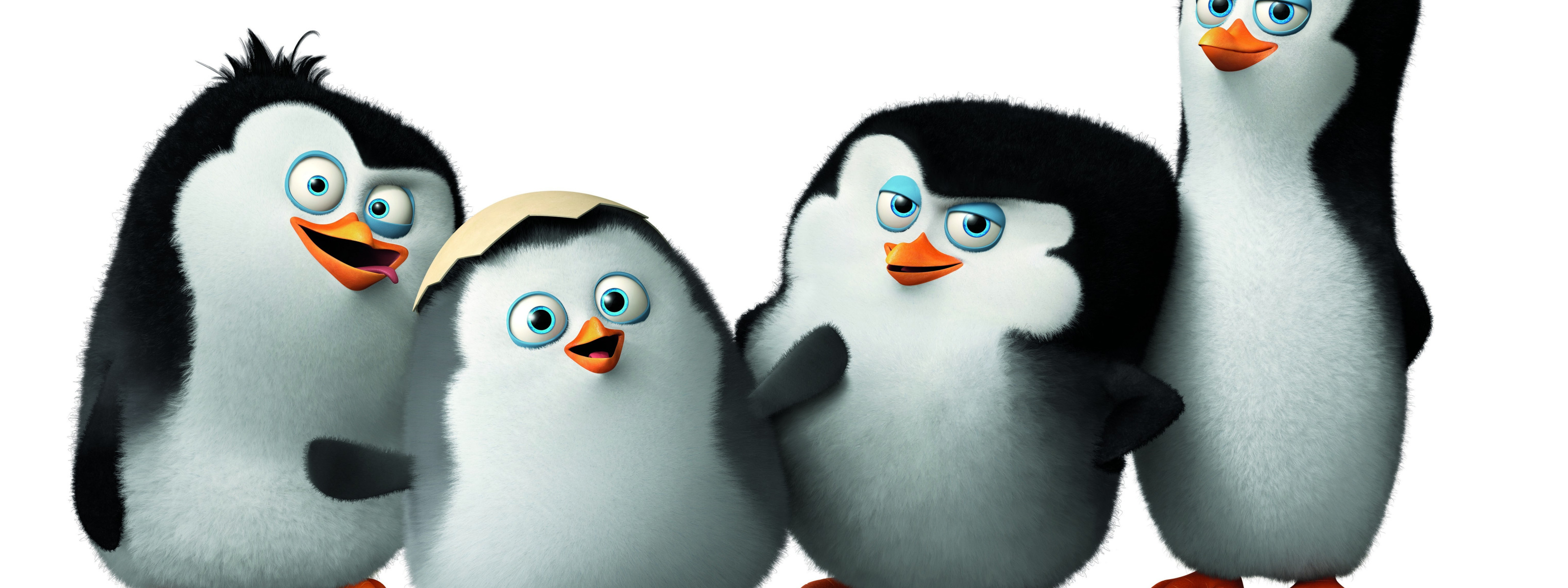 Скачать обои мультфильм, Classified, Penguins of Madagascar, <b>пингвины</b> <b>Мадаг...</b>