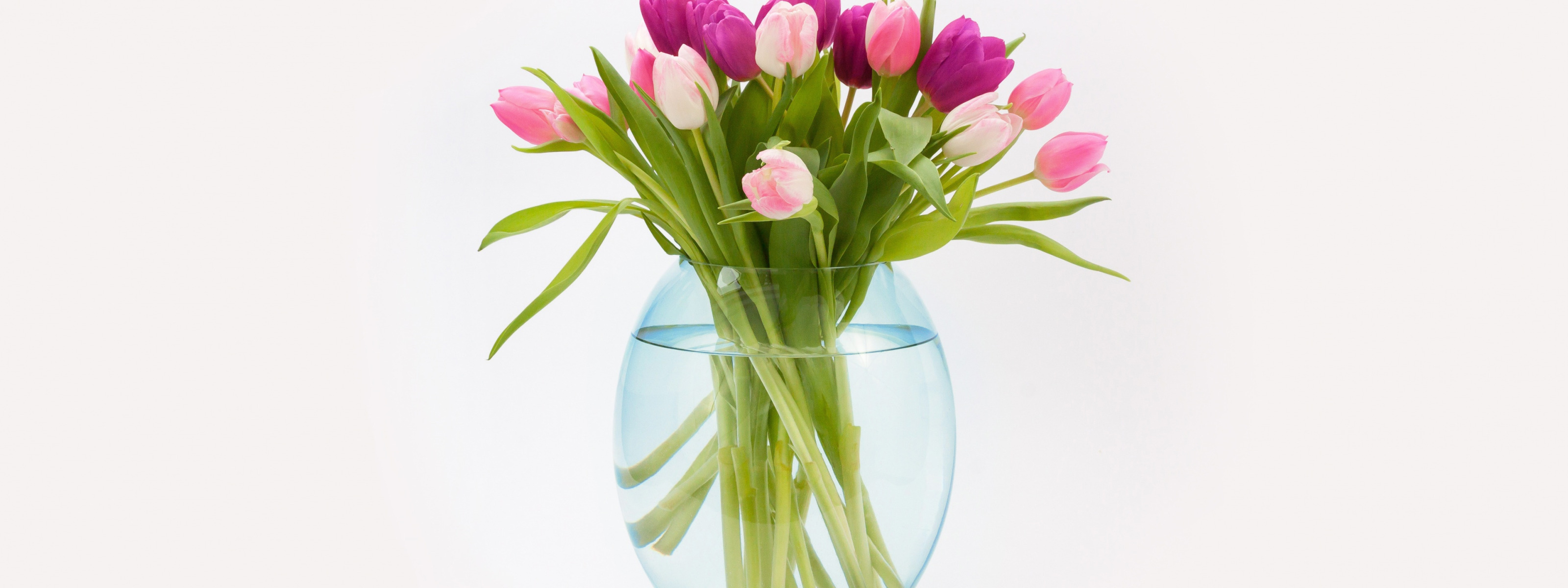 Тюльпаны в вазе фон