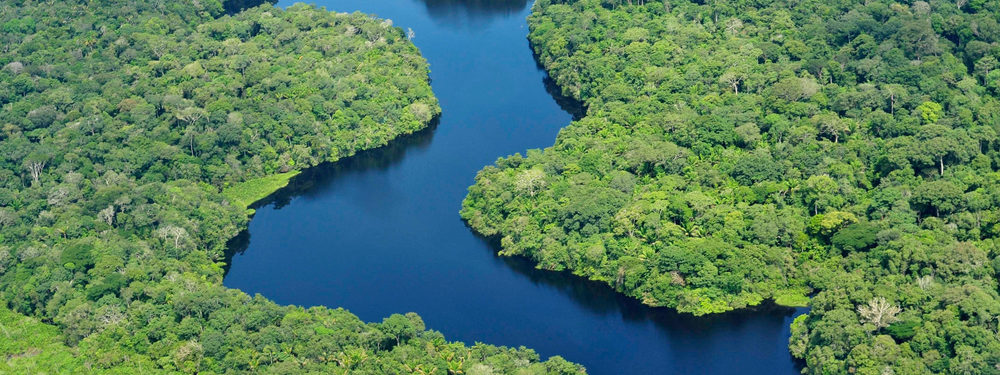 Сведение лесов в бассейнах рек приводит. Бразилия Амазония племена. Бассейн амазонки. Река Амазонка. Река Ориноко.
