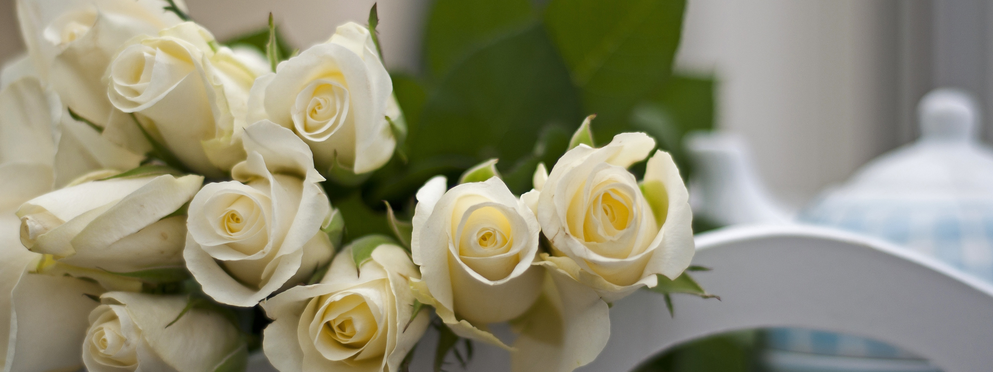 Белые цветы музыка. Белые цветы. Нежный цветок. Белые розы на рабочий стол.