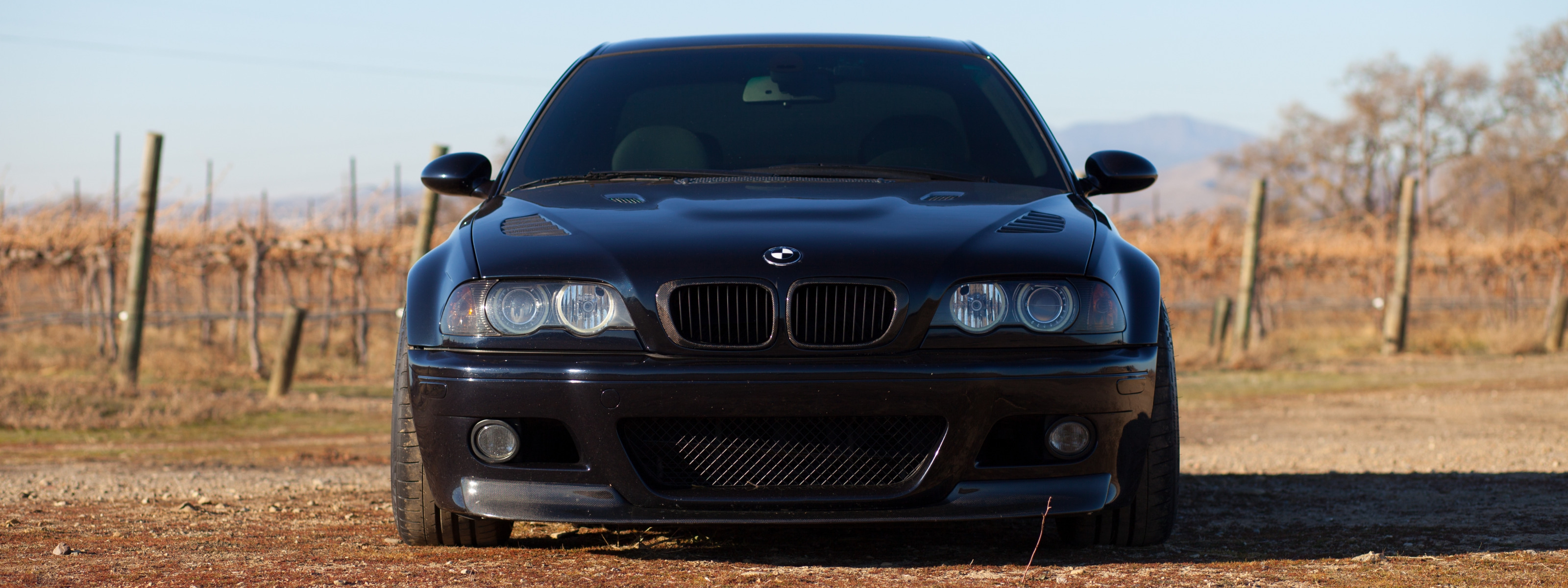 Хочу бэху песня. BMW 46 тонированная. E46 черный низ. 850 Чёрная бэха Серёга. Чёрная БМВ х5 в лесу с синими фарами.