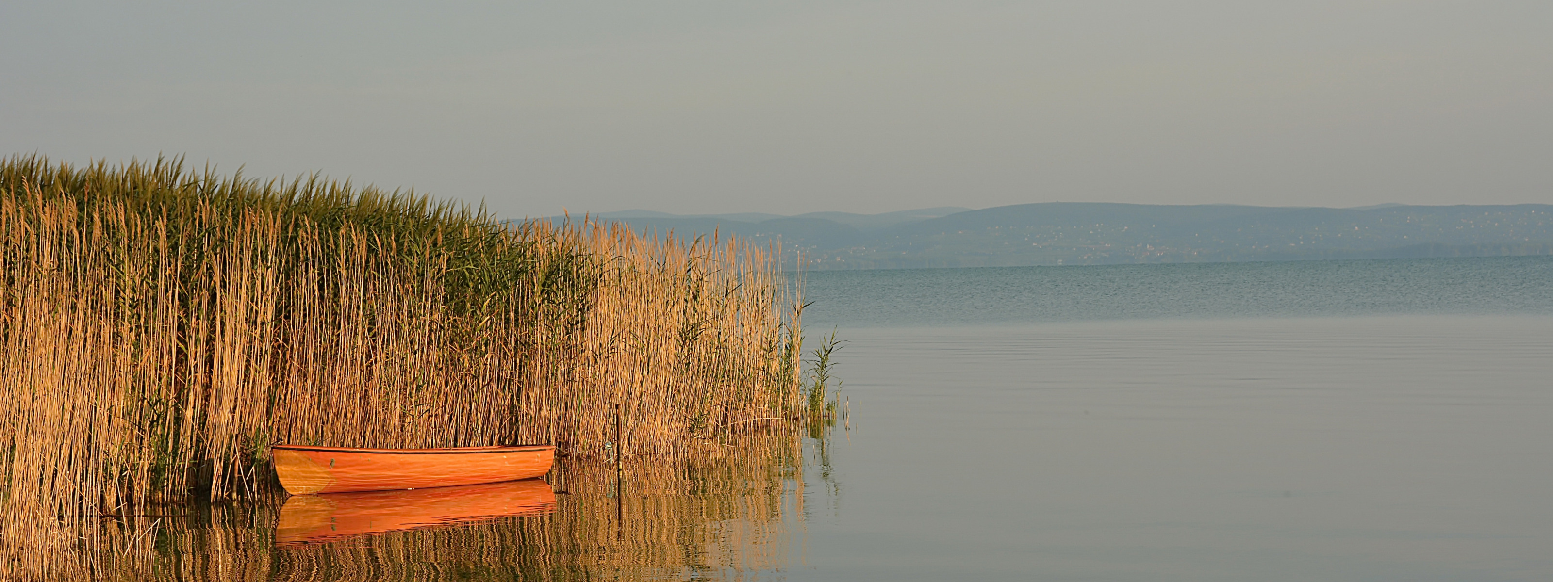 Камыш на реке фото Скачать обои Природа, Озеро, Лодка, Nature, Lake, Boat, Камыши, раздел пейзажи в