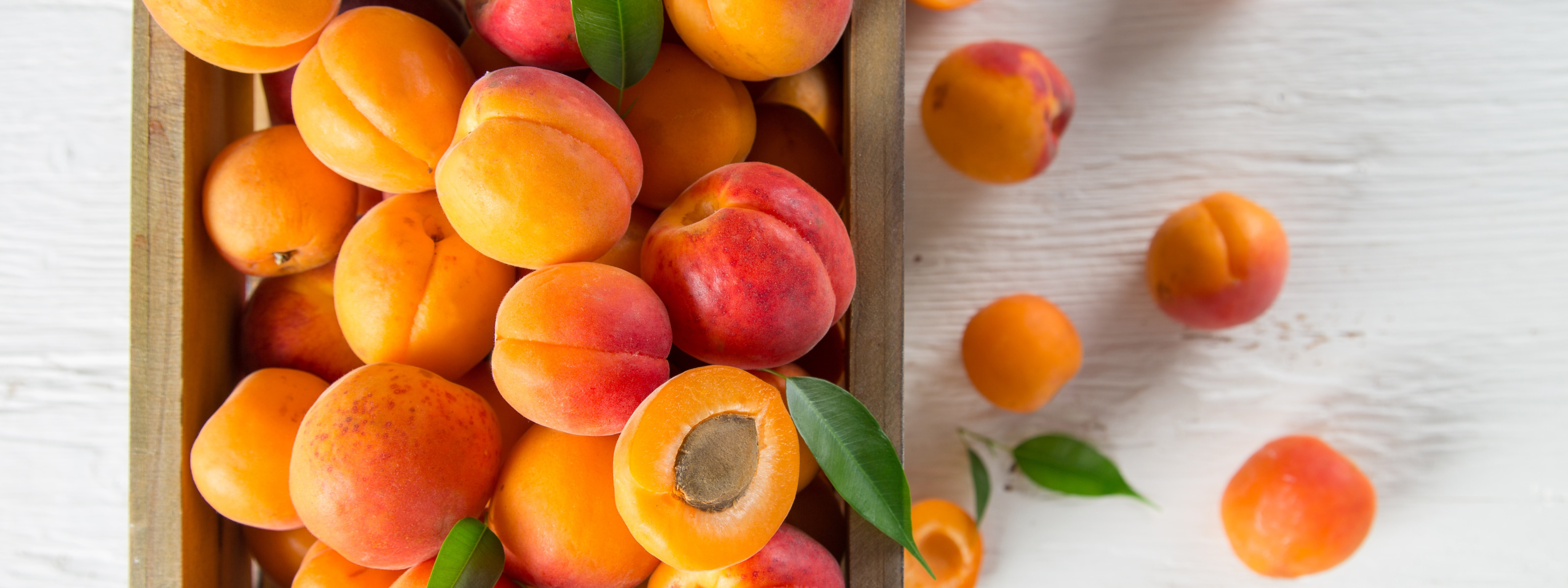 Фото абрикосов и персиков. Абрикос оранж. Абрикос Шалах. Абрикос, алыча персик зеленый. Абрикос базилик мандарин.