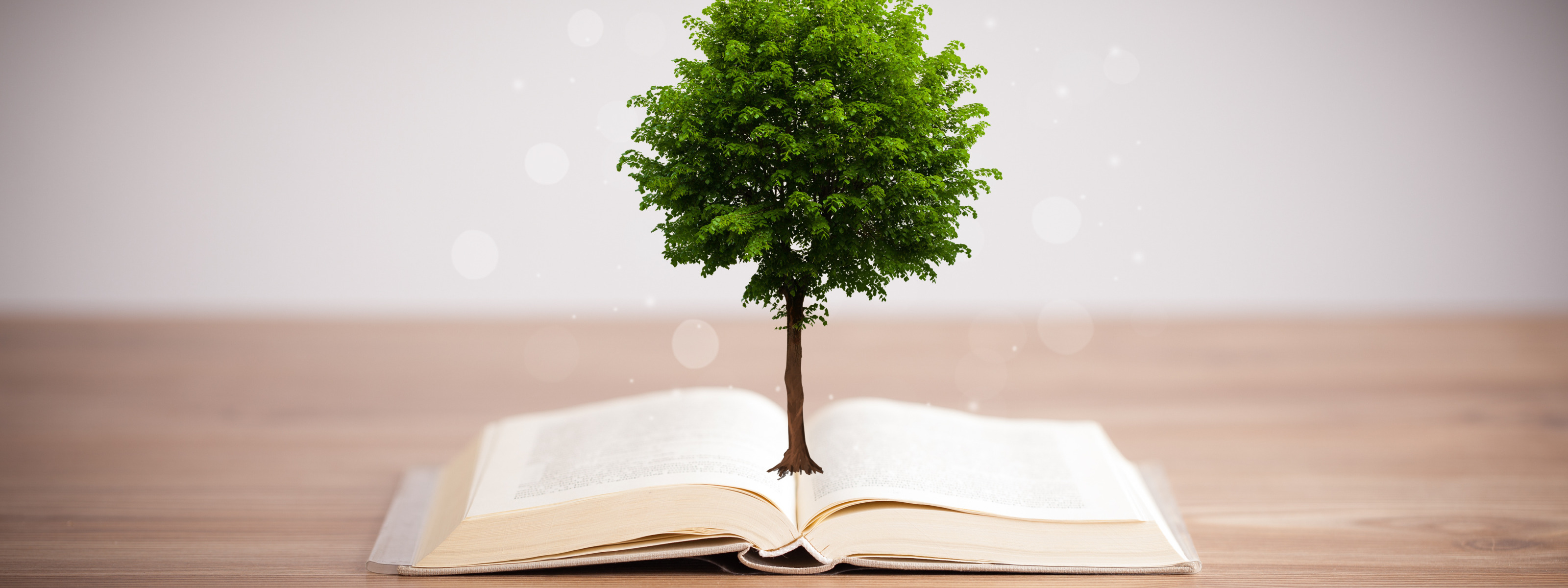 Дающее дерево книга. Дерево с книгами. Дерево с книжками. Книга из дерева. Дерево на книжной обложке.