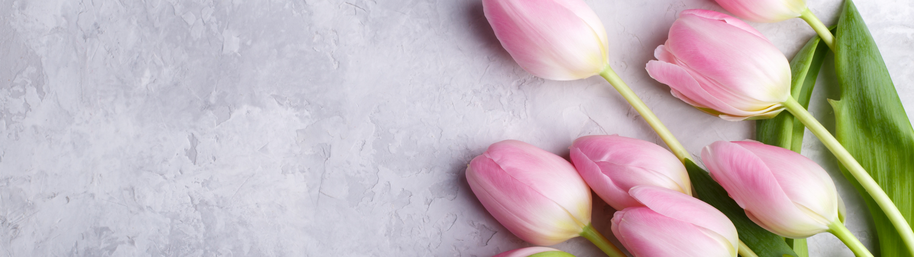 цветы, букет, тюльпаны, розовые, fresh, pink, flowers, tulips