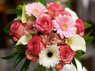 Поздравляю Danu Domirani с Днём рождения! Bouquets-gerberas-roses-rozy