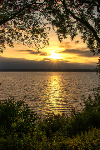 солнце, деревья, закат, река, берег, листва, горизонт, кустарник