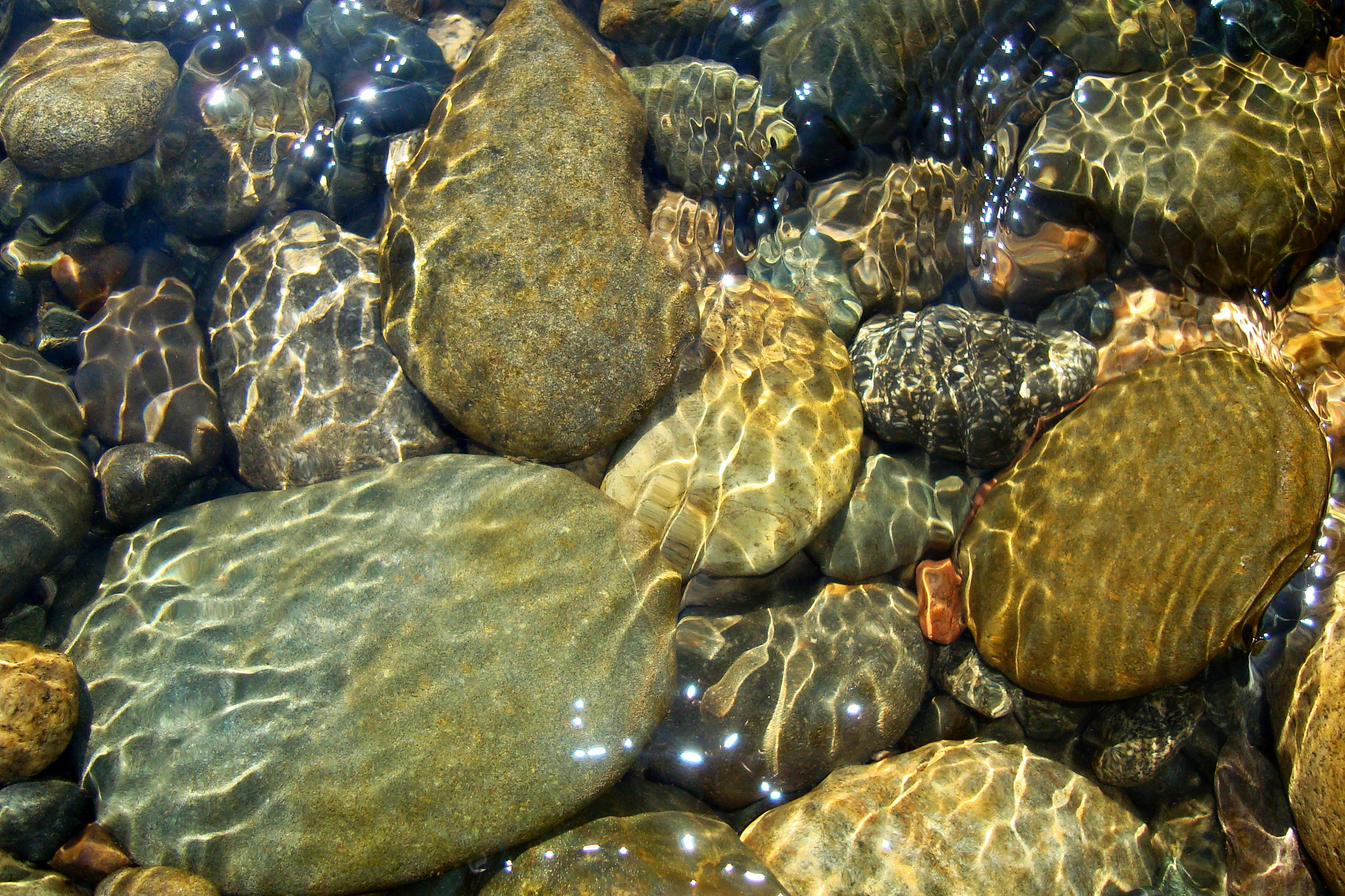 Камни вода рыбы. Камни на дне моря. Речные камни. Морские камни. Речное дно с камнями.