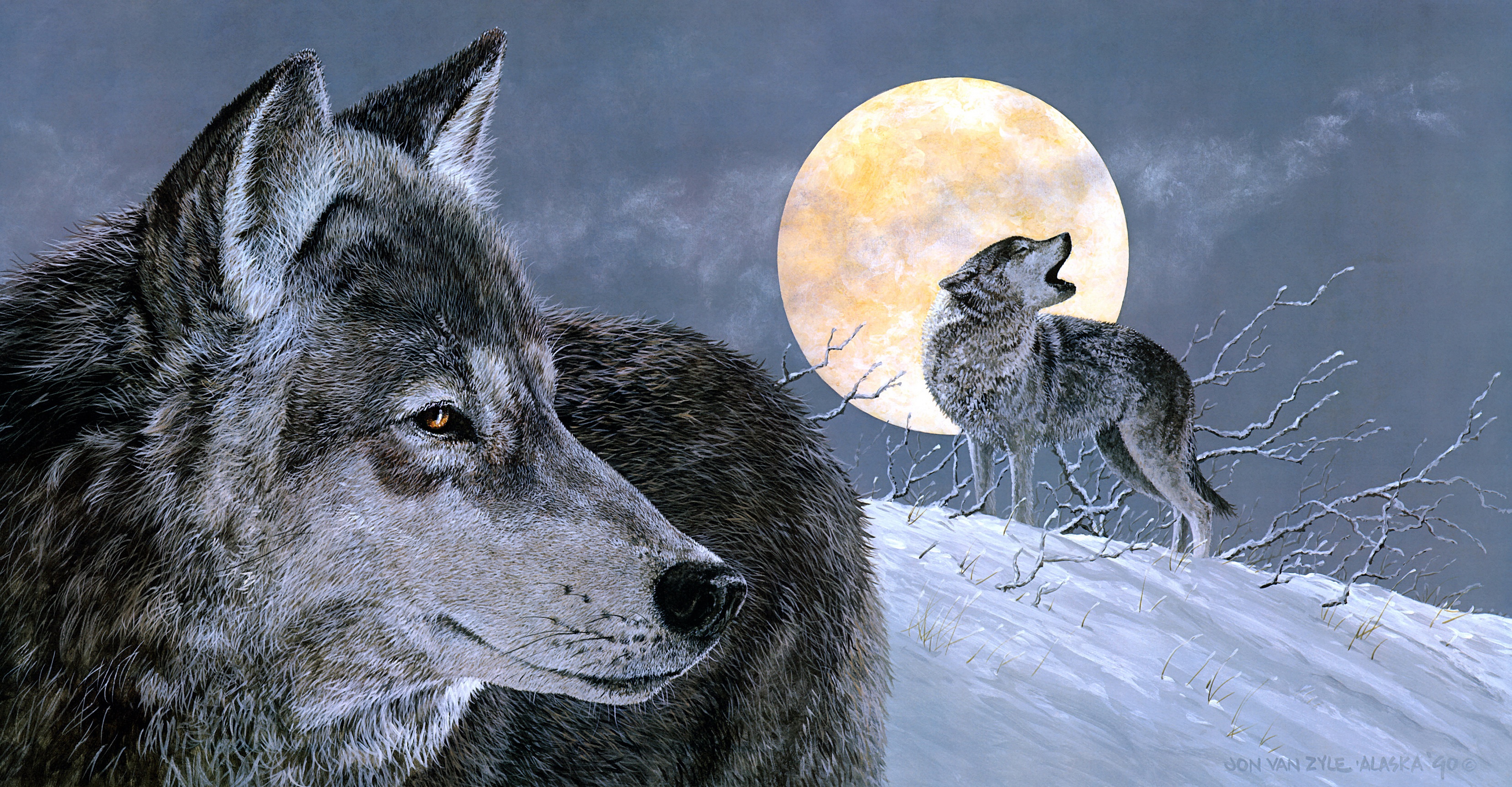 Вой волка на луну песня. Волк. Волк обои. Воющий волк. Одинокий волк.