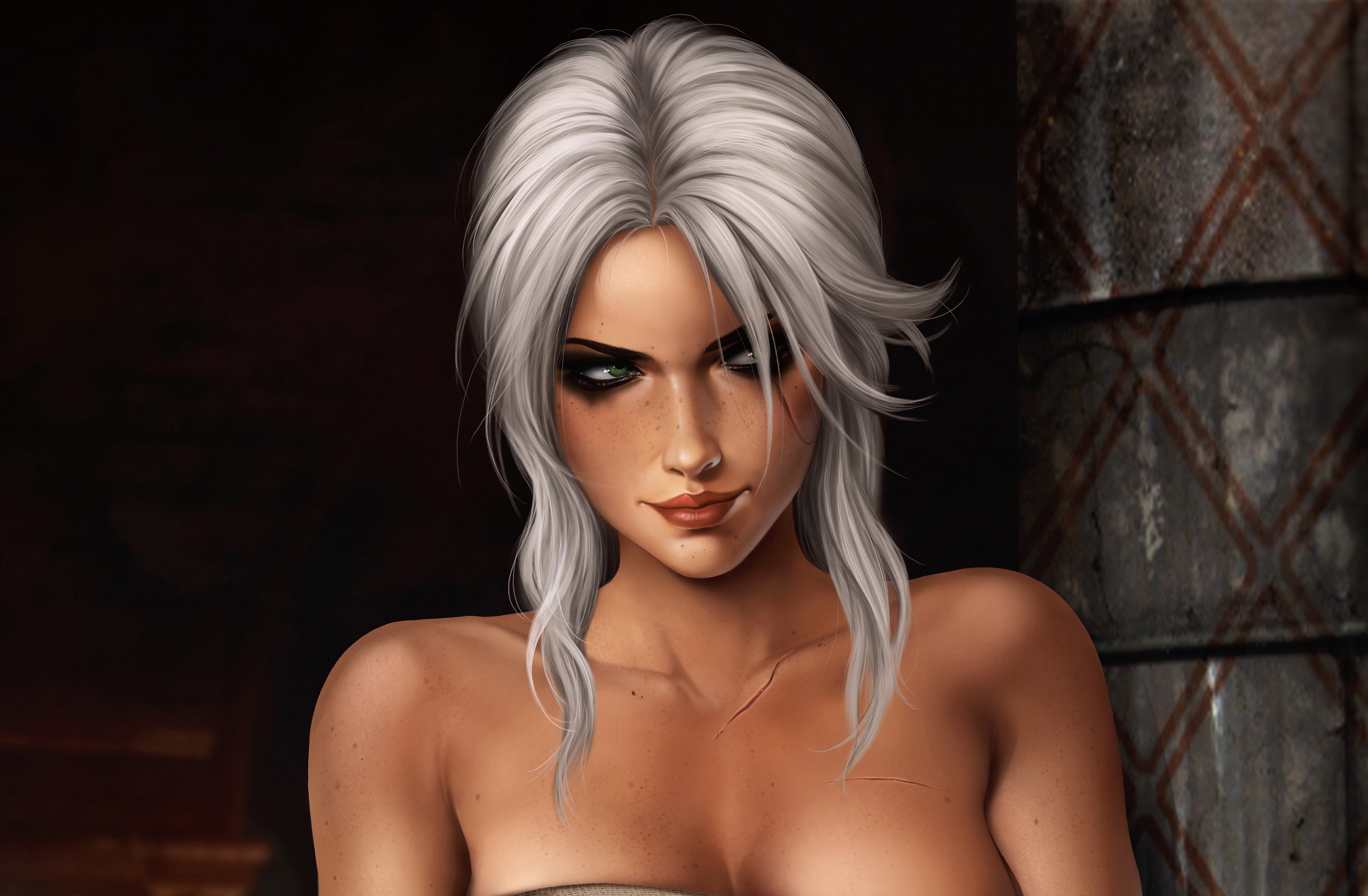 The witcher 3 art 18 фото 40
