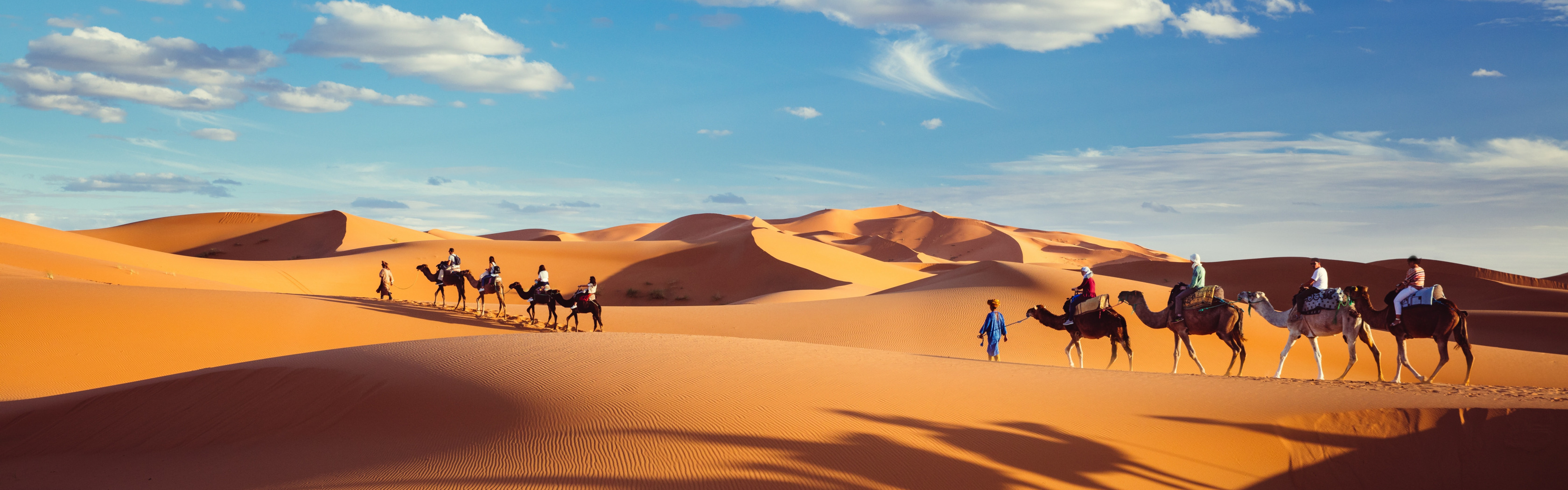 Другой караван. Караван в пустыне. Верблюды Караван. Пустыня Караван Оазис. Караван панорама.