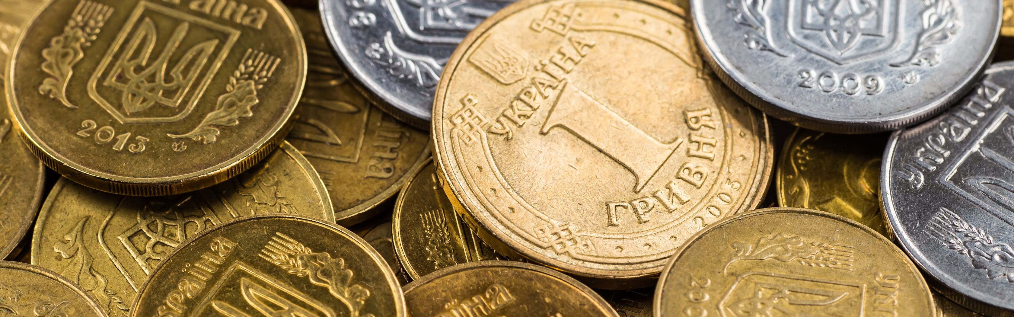 Фото гривней. Украинские деньги. Валюта Украины монеты. Богатства Украины.