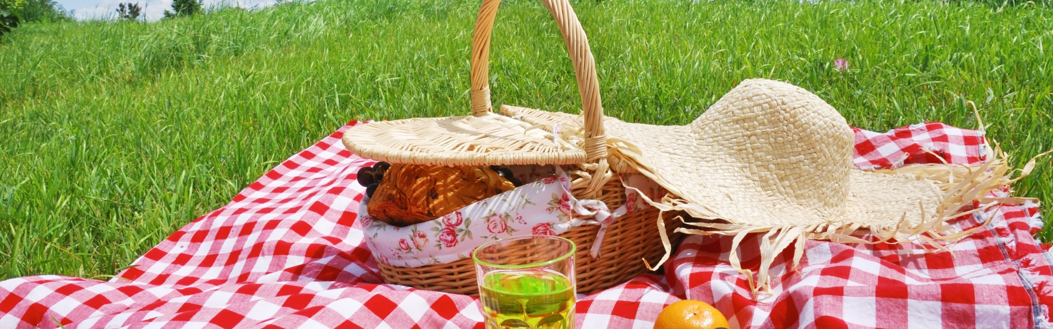 Пикник с фруктами. Майские праздники пикник. Пасхальный пикник. Корзинка для пикника на траве. Пикник едет