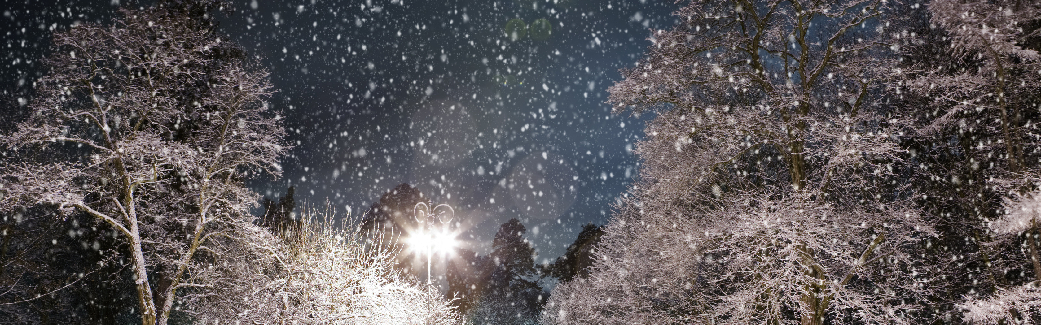 Ночью на мокрые деревья упал снег сравнение. Падающий снег. Метель ночью. Вечер снег идет деревья. Снегопад небо.