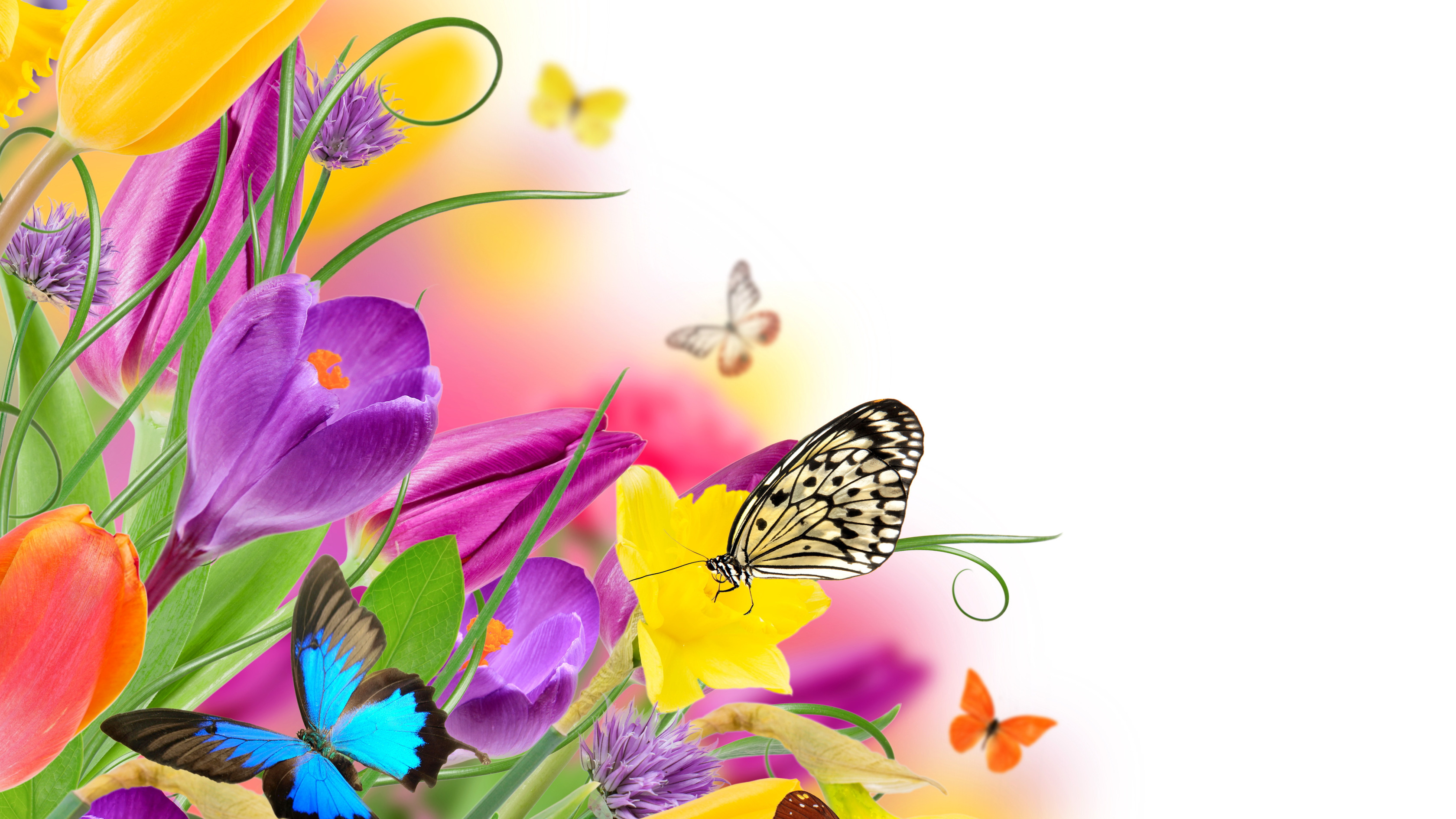 Песня день рождения весны. Весенний фон для открытки. Красивый фон с бабочками. Фон с цветами и бабочками. Фон с весенними цветами.