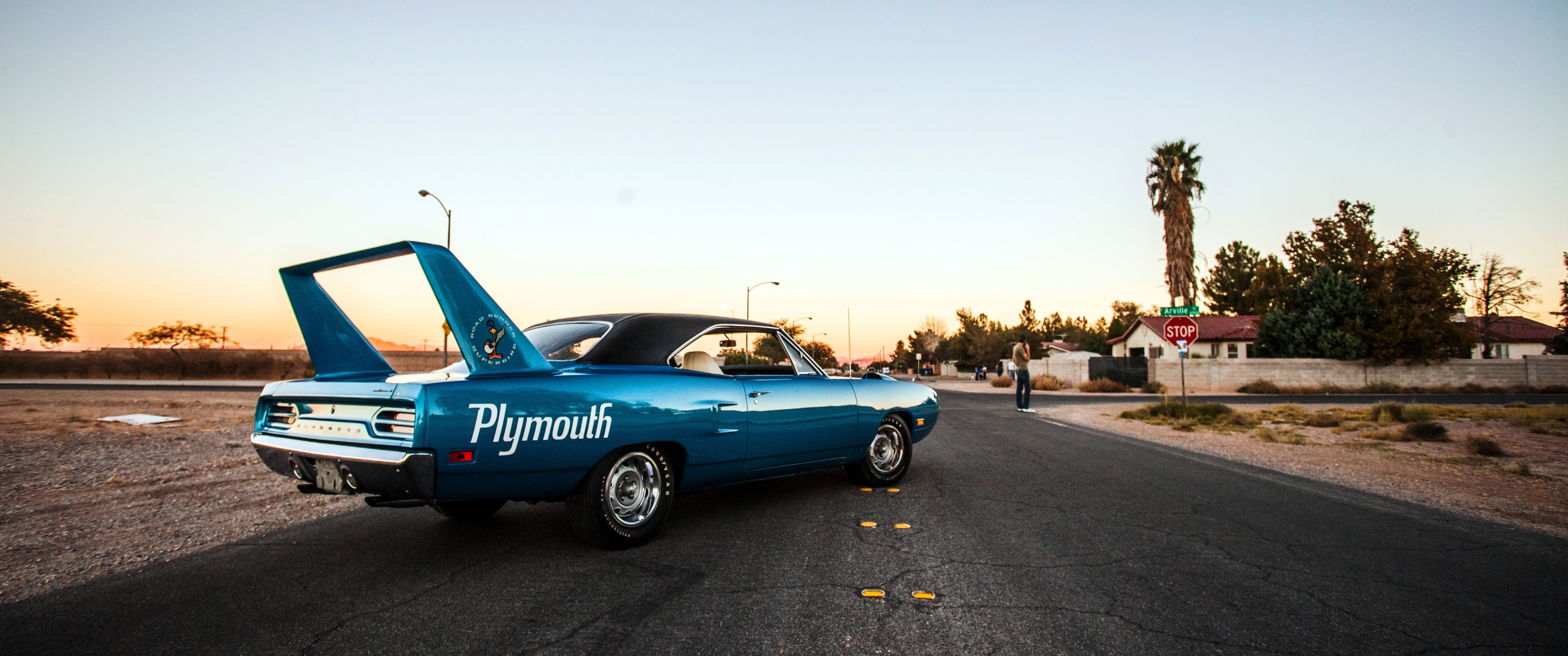 Plymouth Roadrunner Superbird