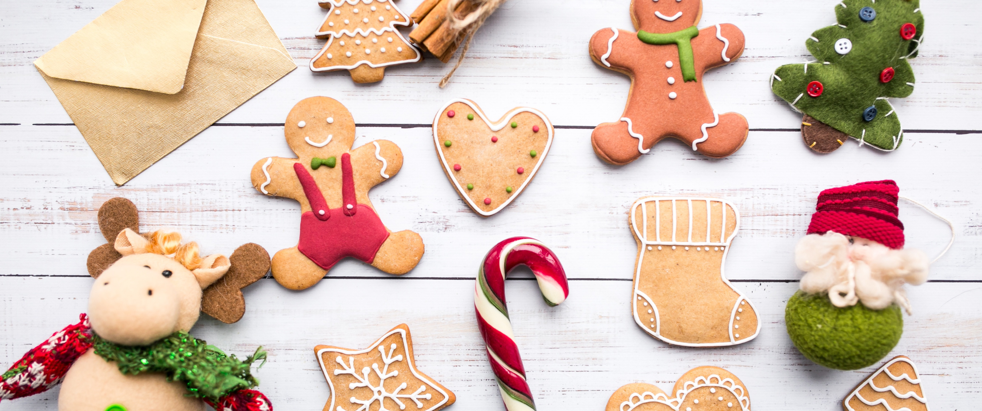 Family is Cooking Gingerbread cookies