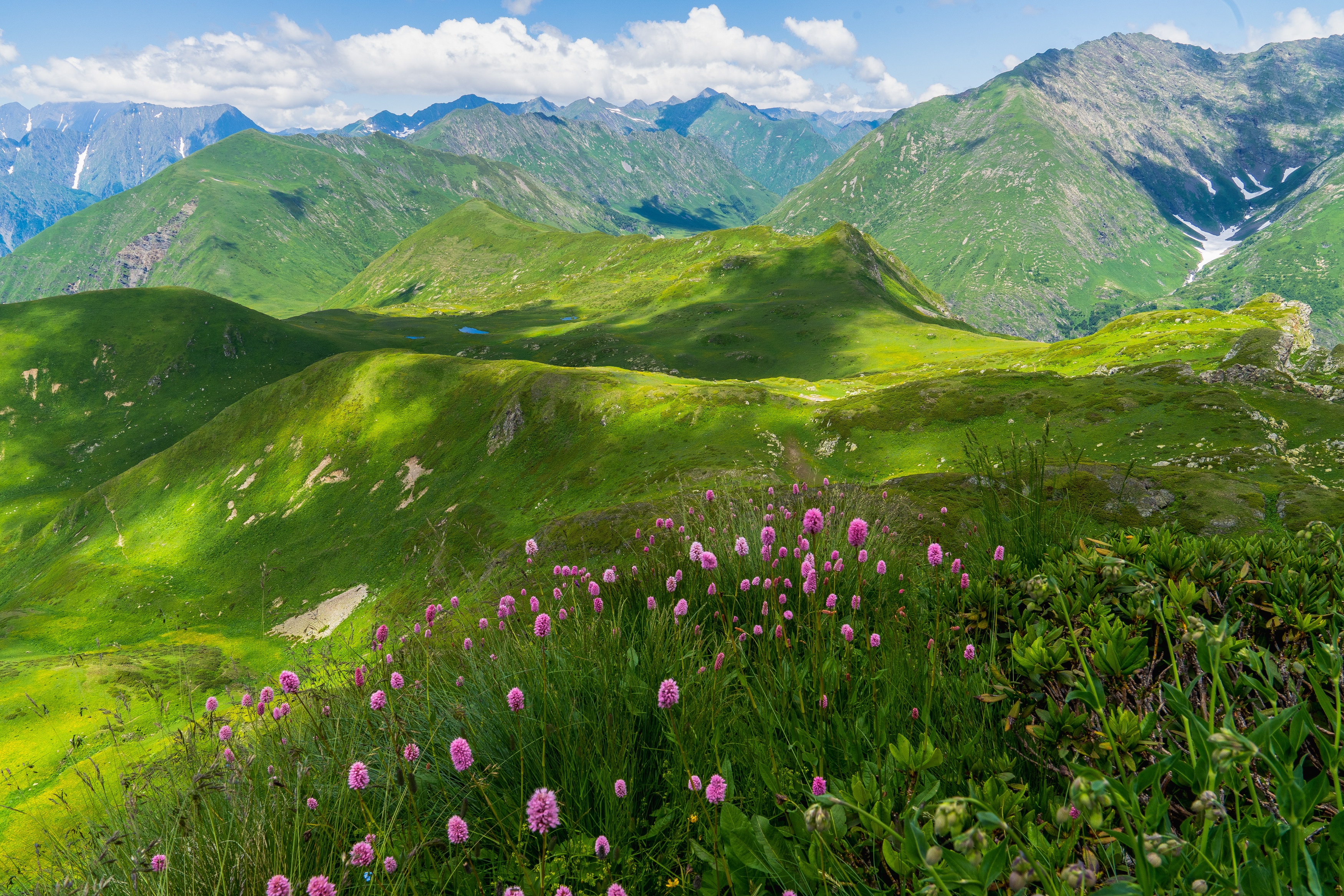 Альпийские Луга красная Поляна