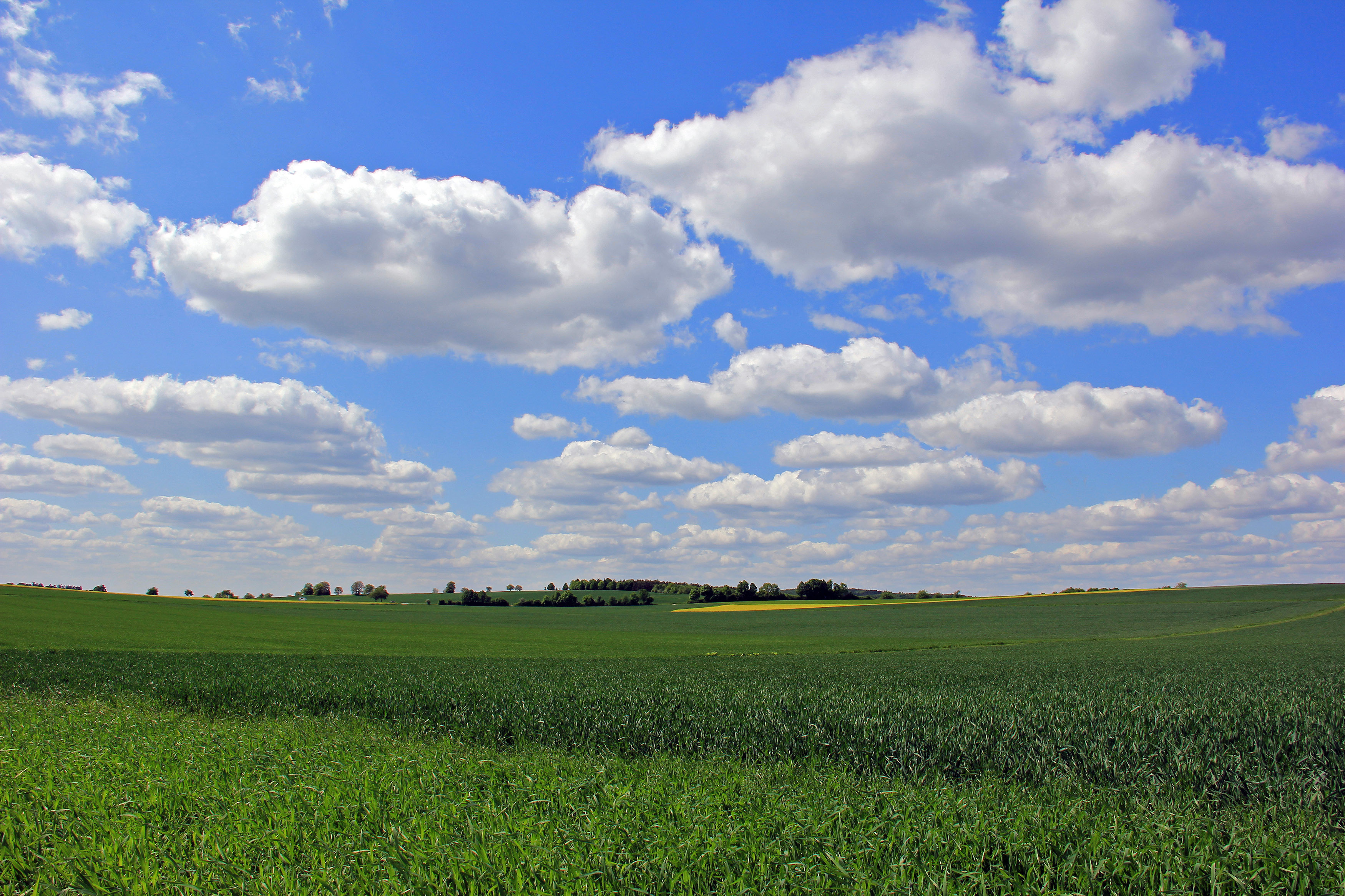 Песню небо голубое поле. Поле и небо. Поле облака. Облака над полем. Природа поле с облаками.