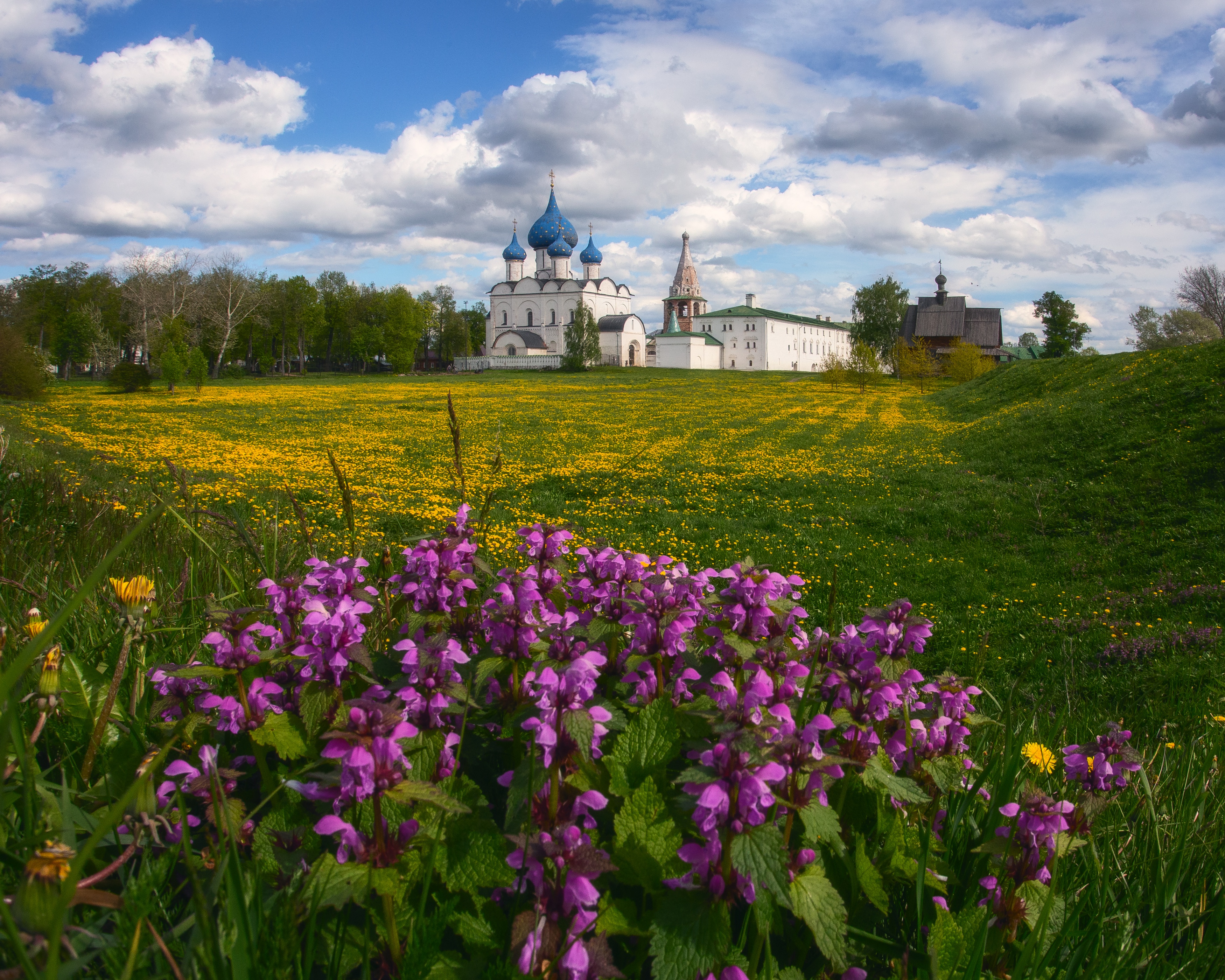 Суздальский Кремль