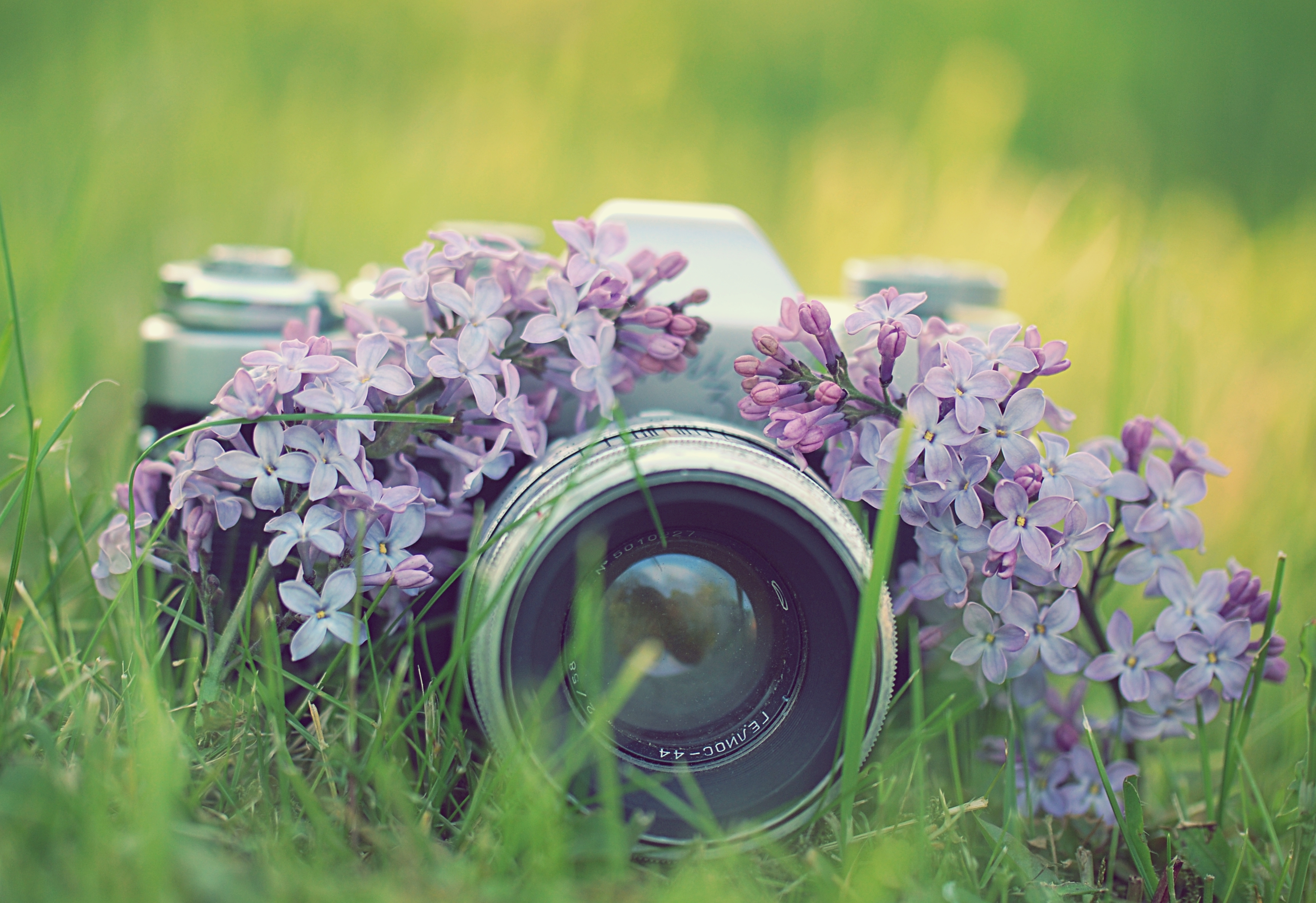 Ее настроение цвета май. Фотоаппарат на красивом фоне. Фотоаппарат на природе. Фотоаппарат лето.