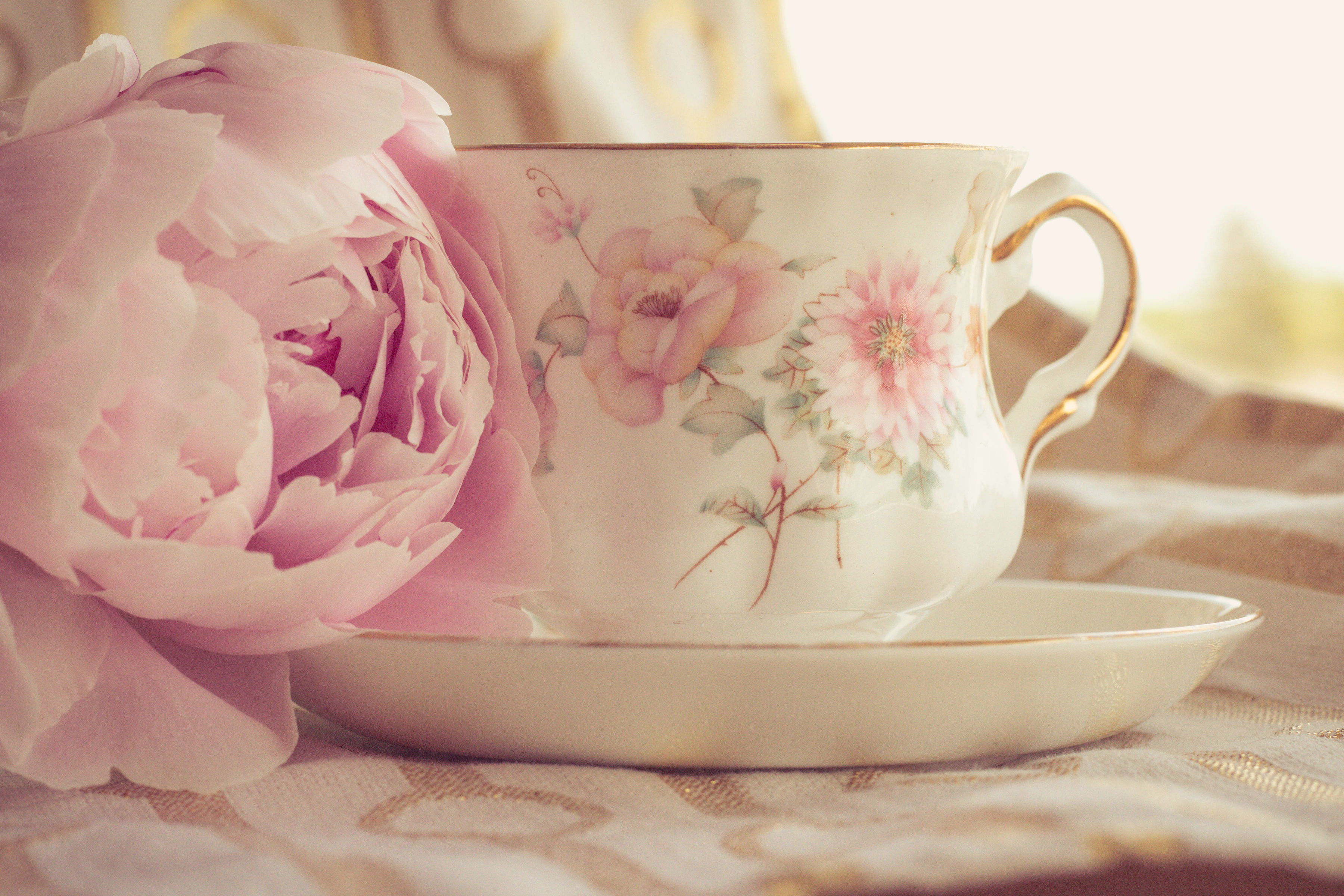 Доброе утро март нежные картинки. Нежный цветок. Утренние цветы. Цветы в чашке. Нежный натюрморт.