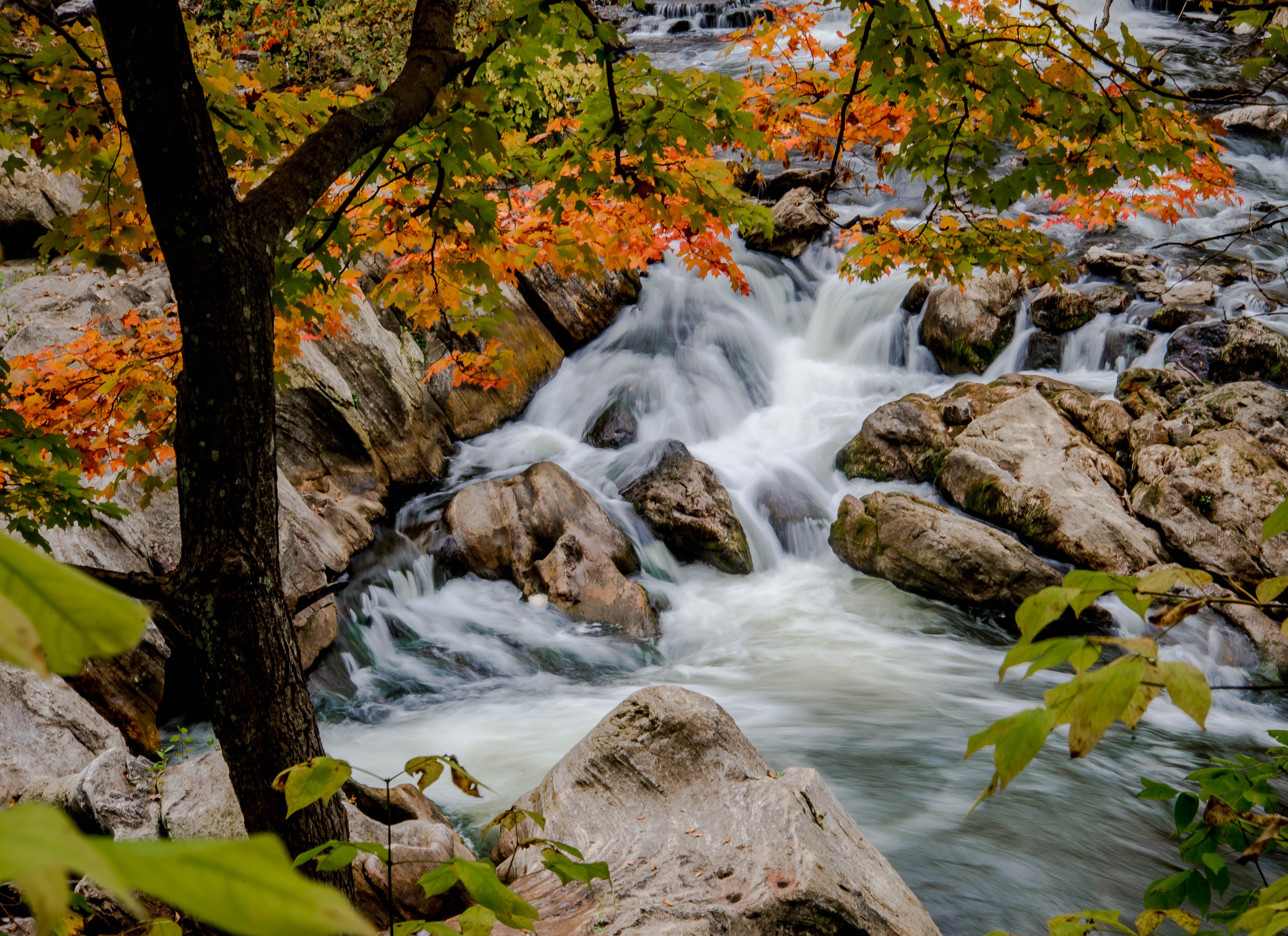 Autumn Falls Snapchat