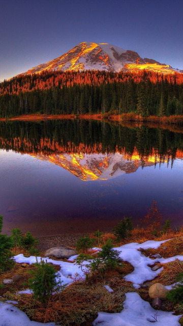 lake, reflection, Mount Rainier National Park, Washington State